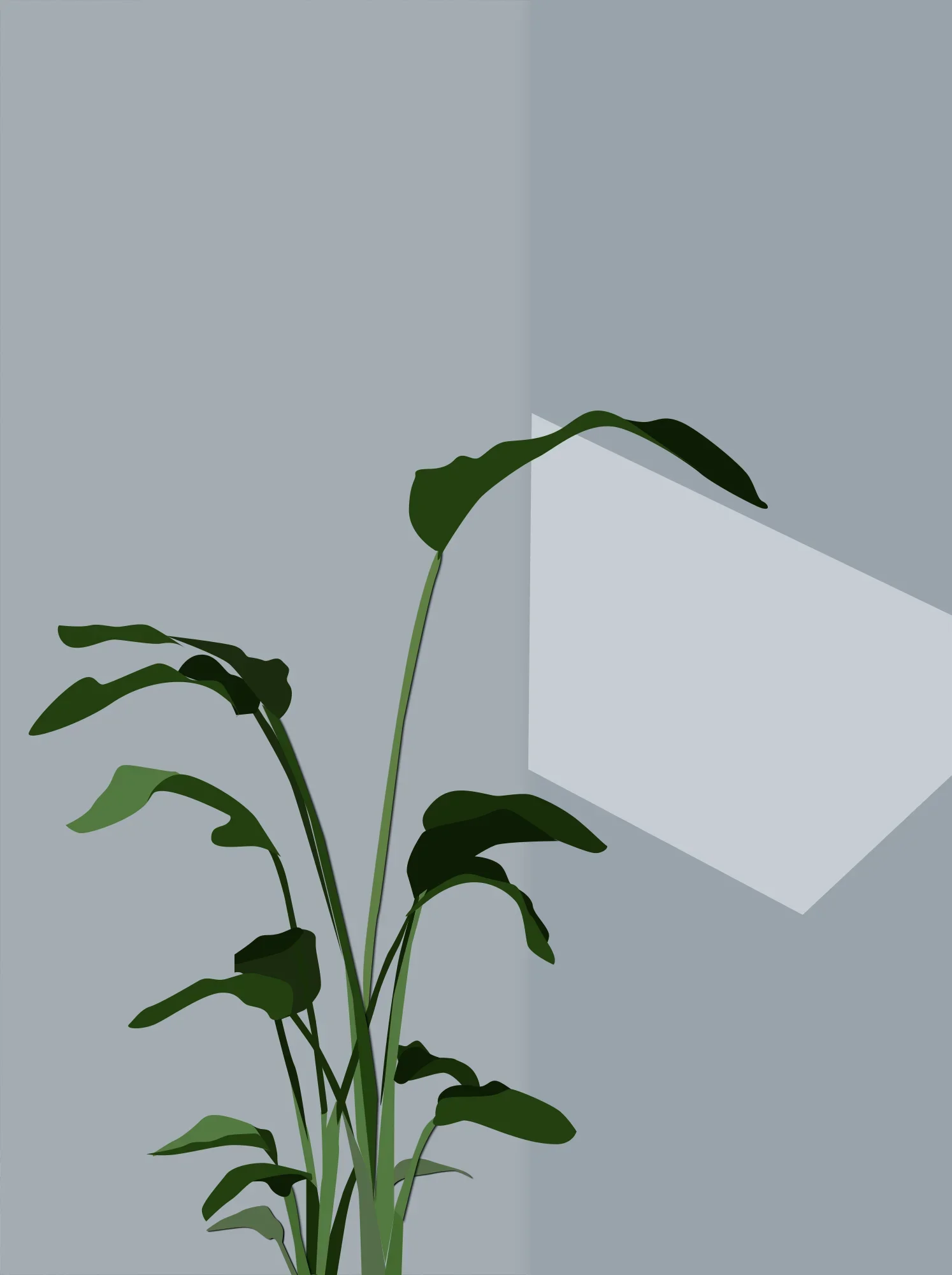 Illustration+Division_Kathy_Kim-plant.webp