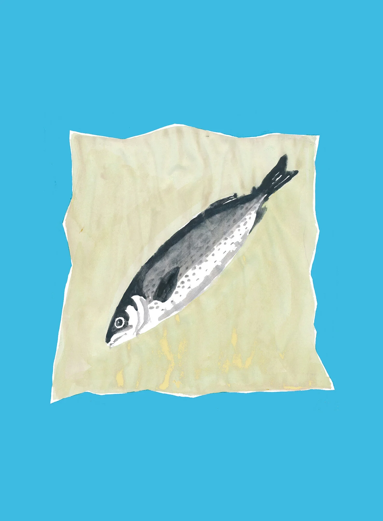 Fish_paper_org.webp