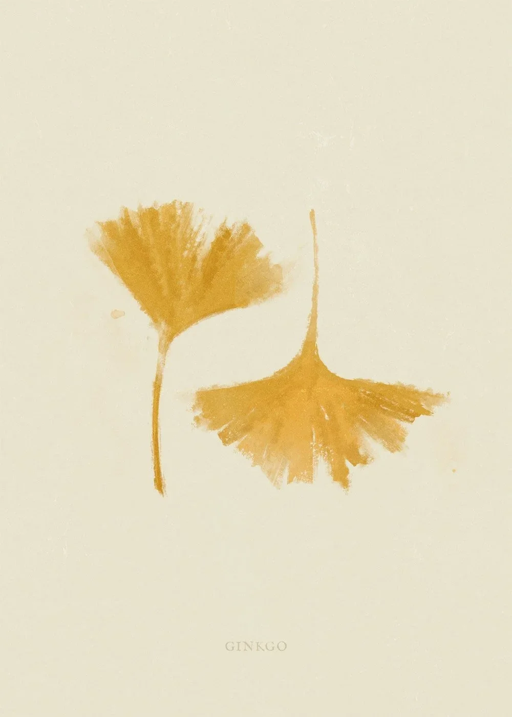 ginkgo-min.webp