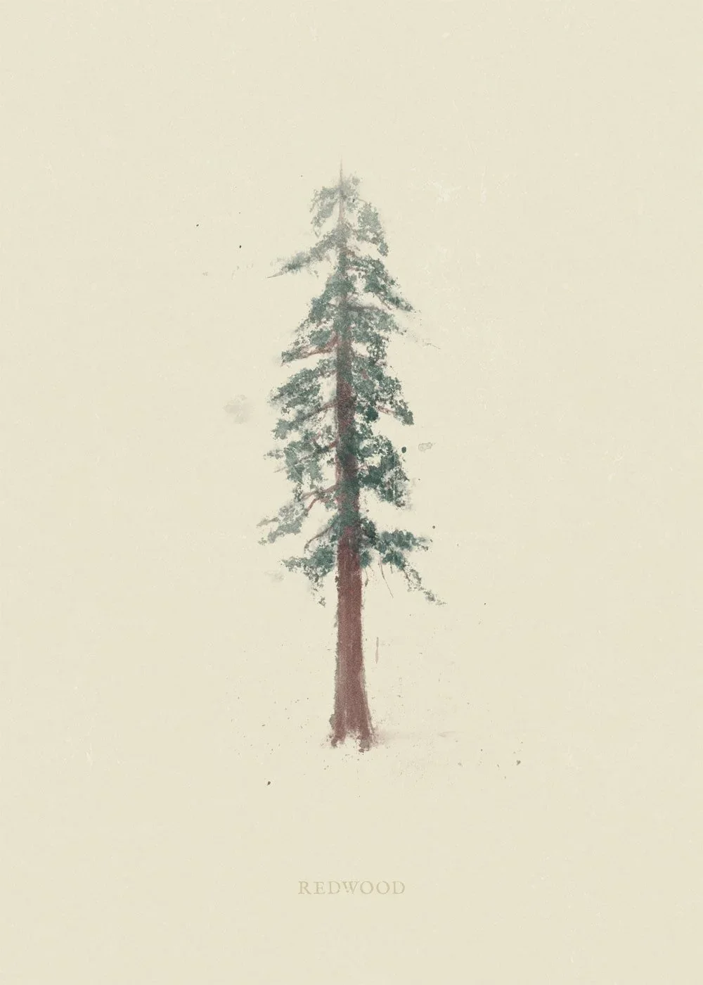 redwood-min.webp