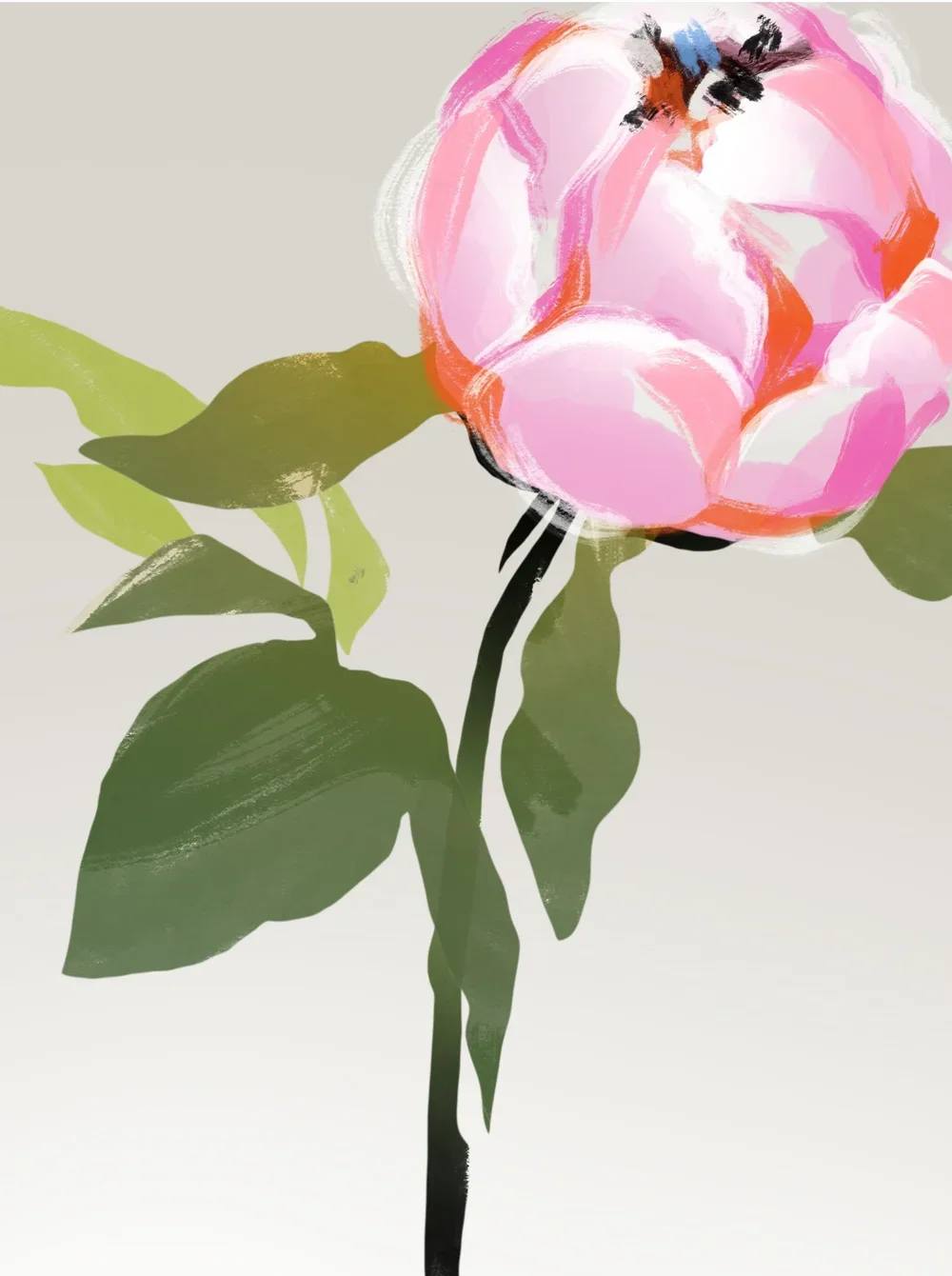 VN-peony.webp