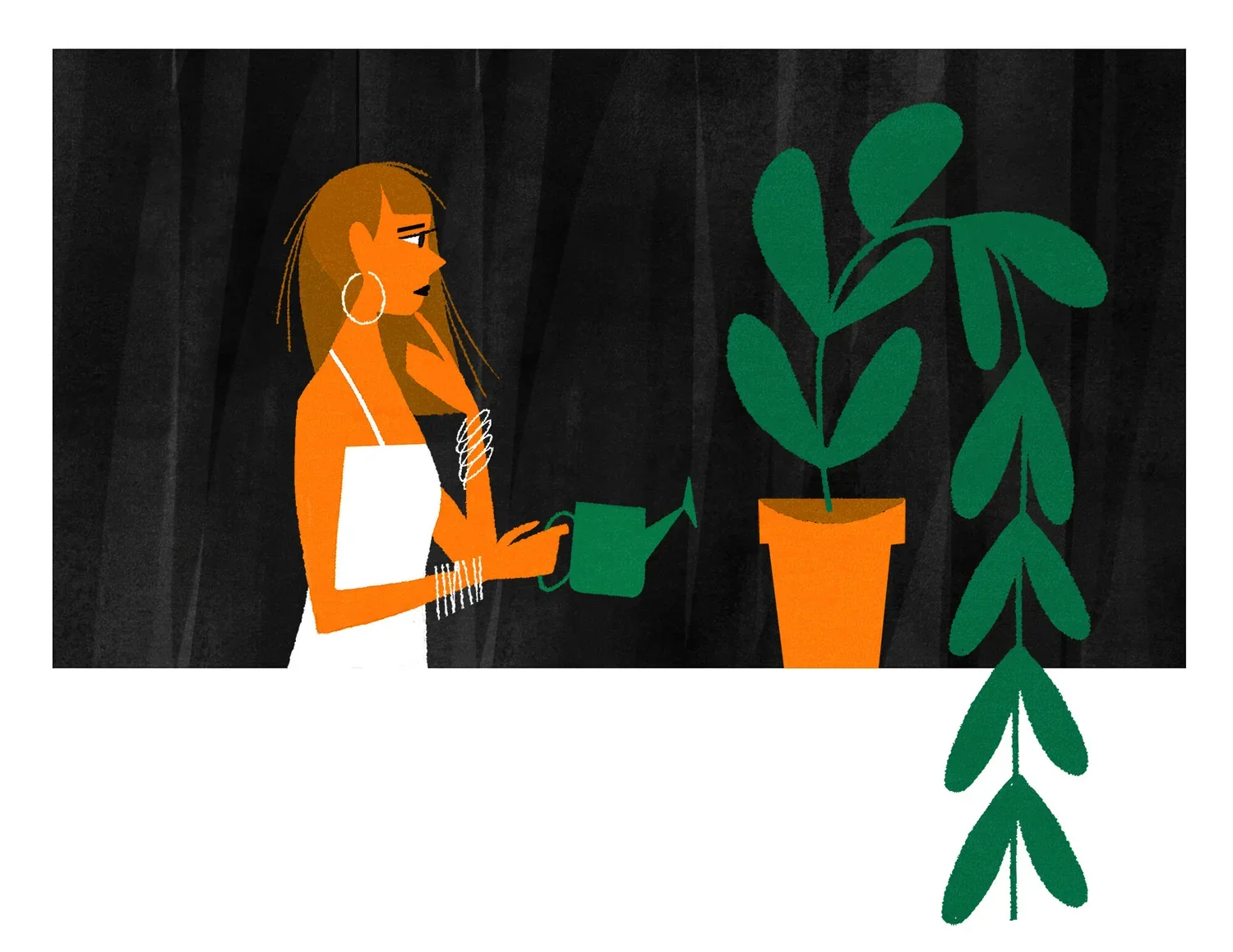 KF_NYTimes_Plant.webp