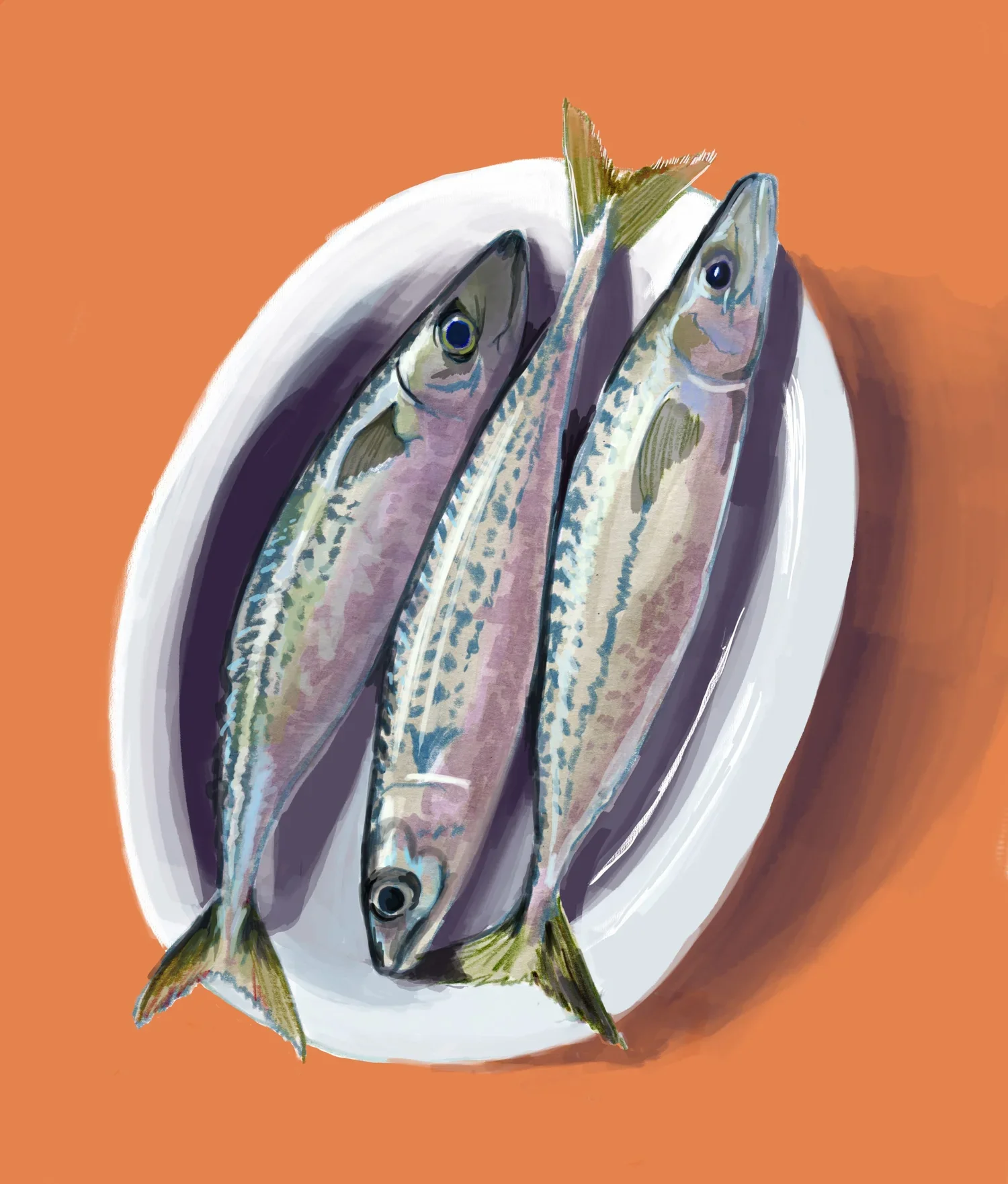 sardines.webp