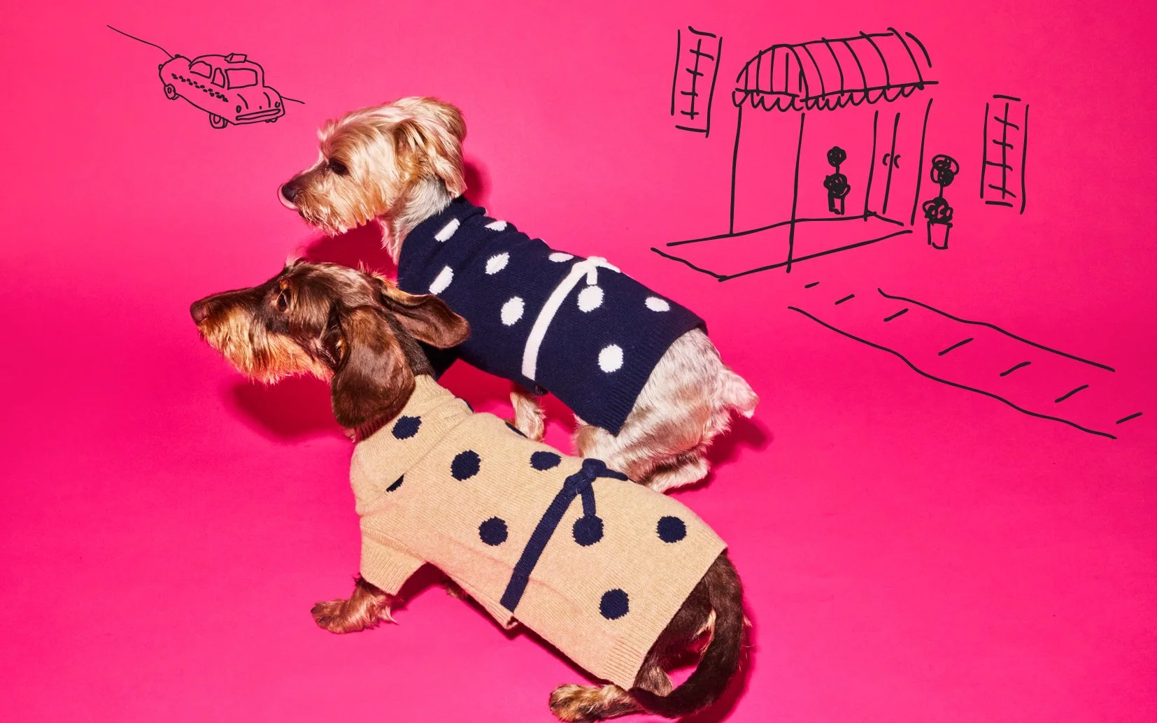 wotd-fall-25_2Q3A2998 copy.JPG