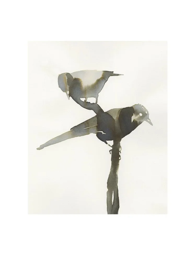 SARA+SINGH+BIRDS+copy.jpg