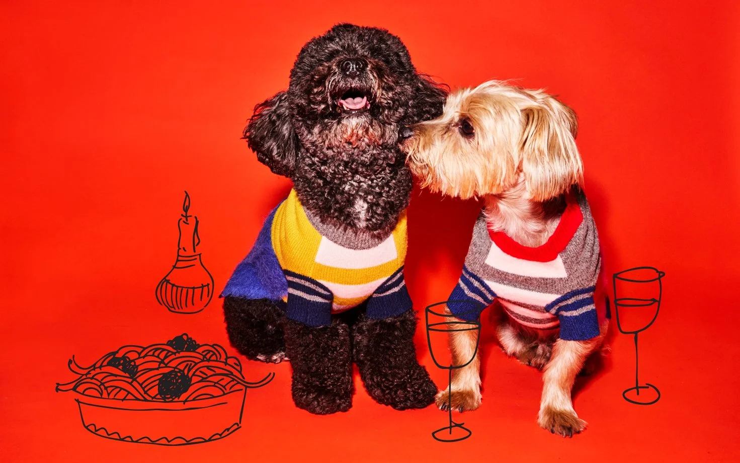 wotd-fall-25_2Q3A3570 copy.JPG