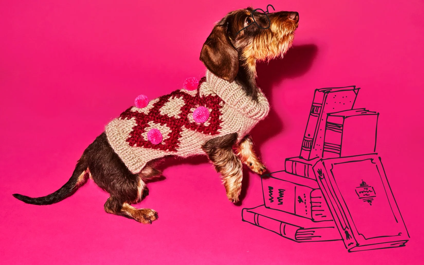 wotd-fall-25_2Q3A2283 copy.JPG