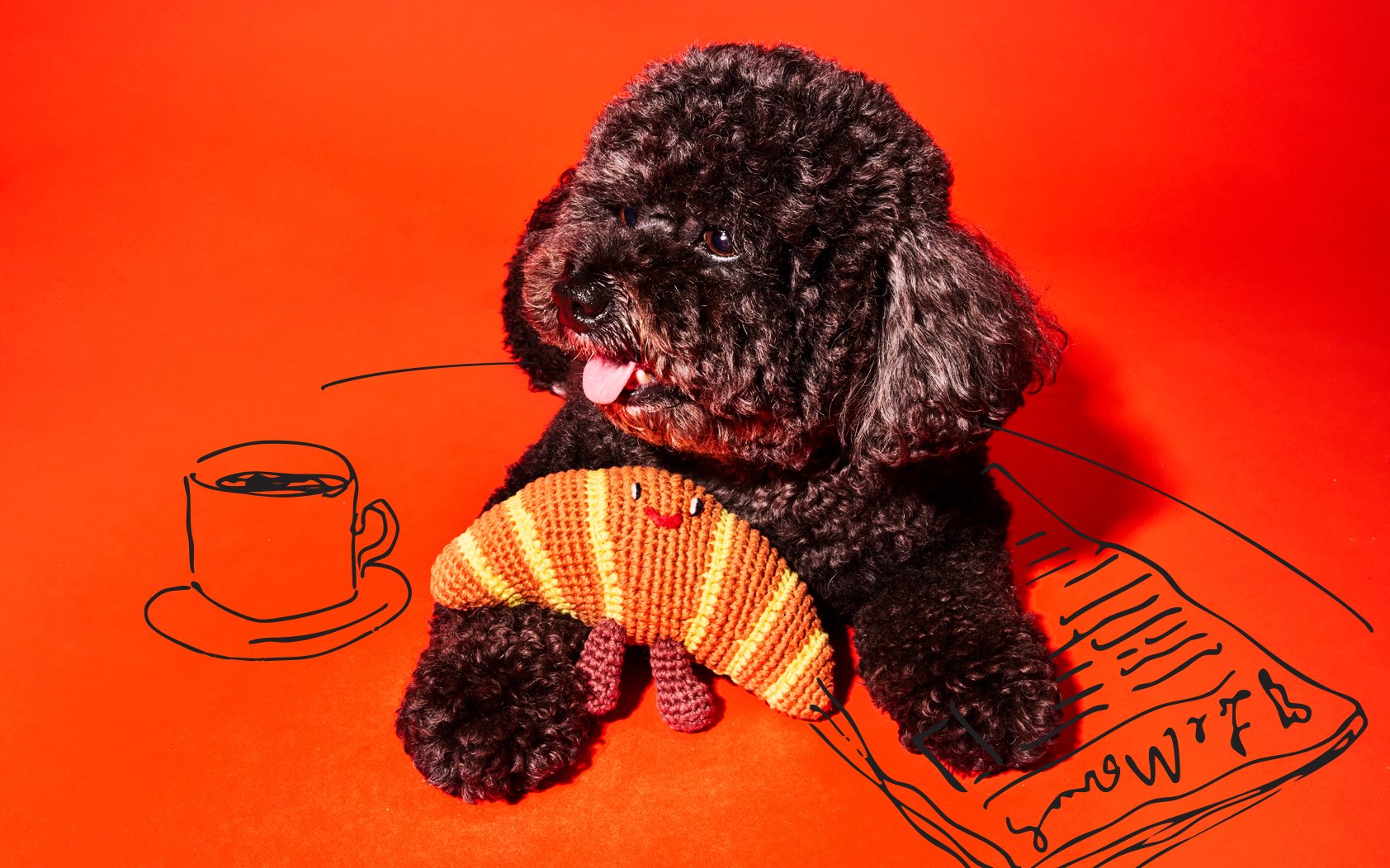 wotd-fall-25_2Q3A4740 copyA.JPG