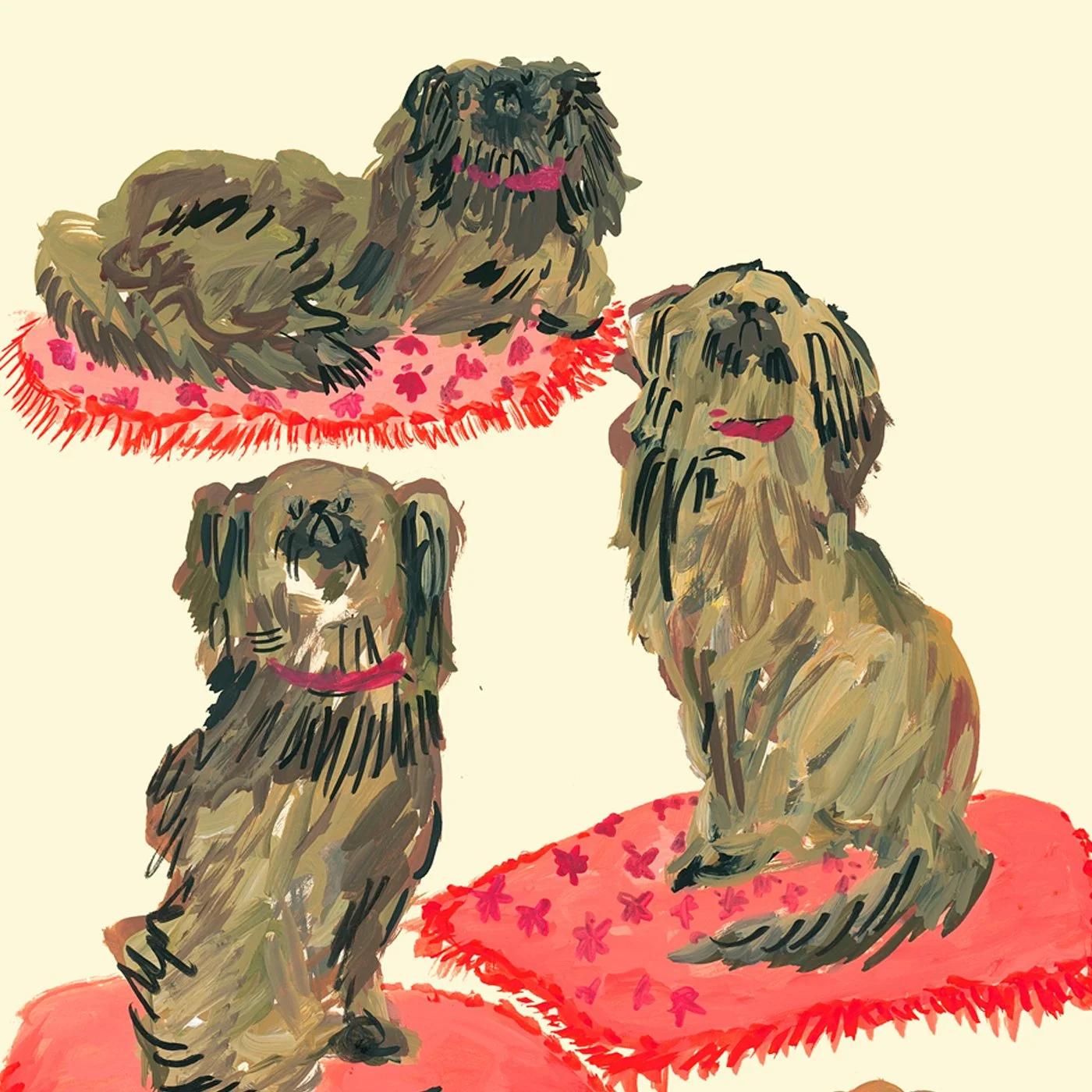 ig dog s3.jpg