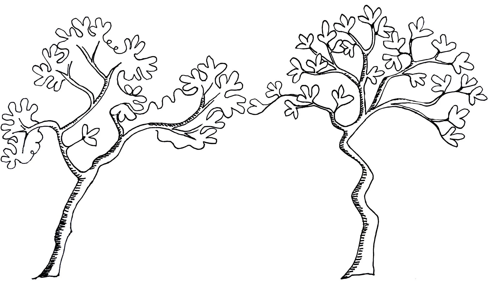 Ericafoundation2026_magnolia.jpg