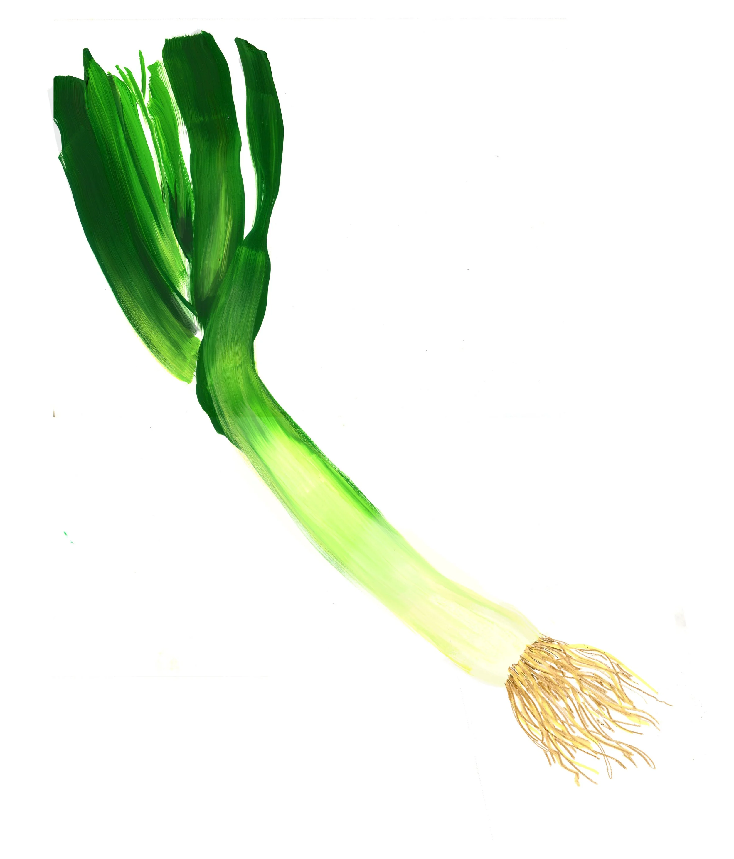 WSJ leek 1 copy.jpg