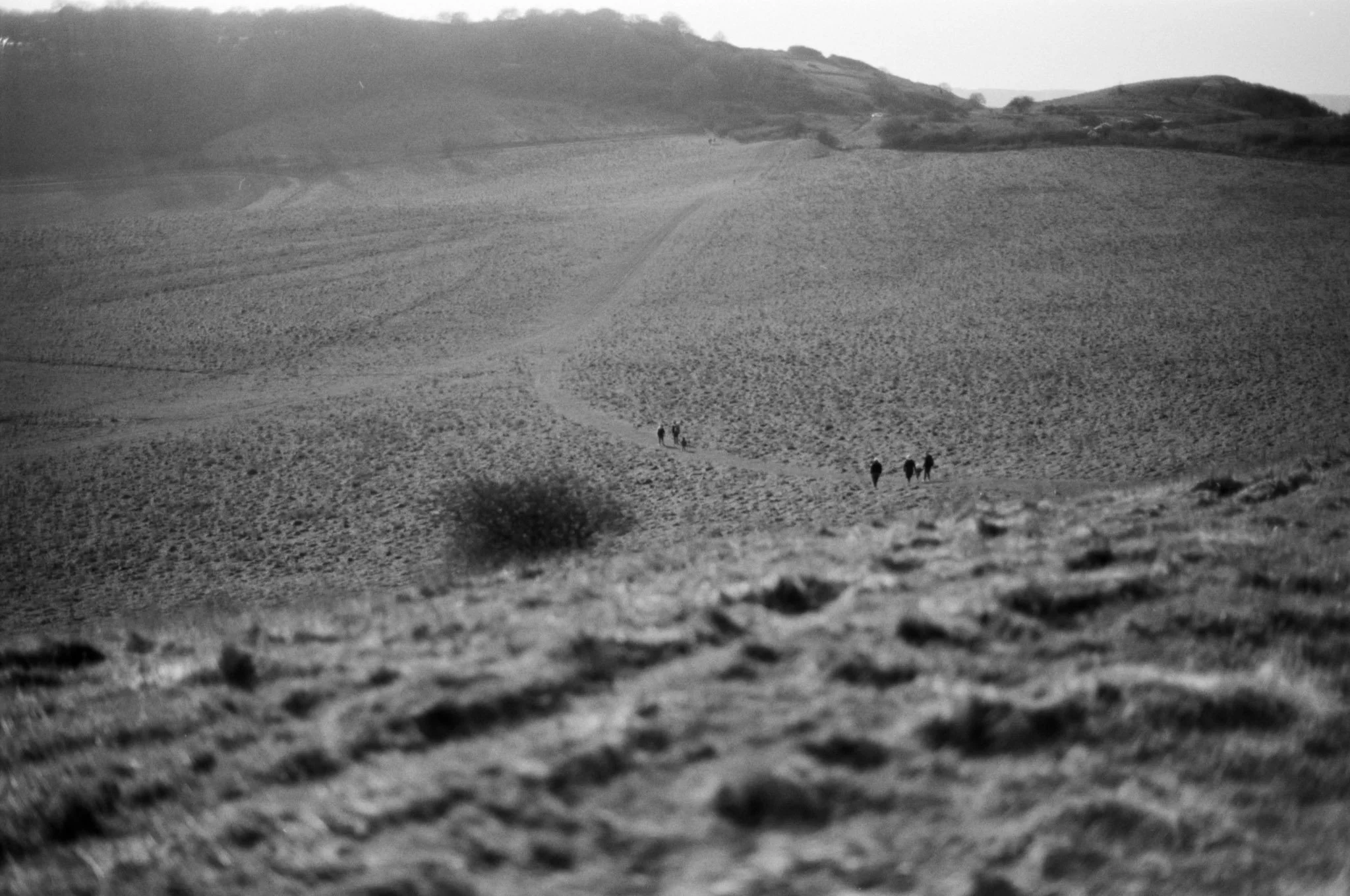FILM_PHOTOGRAPHY_LANDSCAPE_ENGLAND_IVINGHOE_BEACON_BLACK_WHITE.jpg