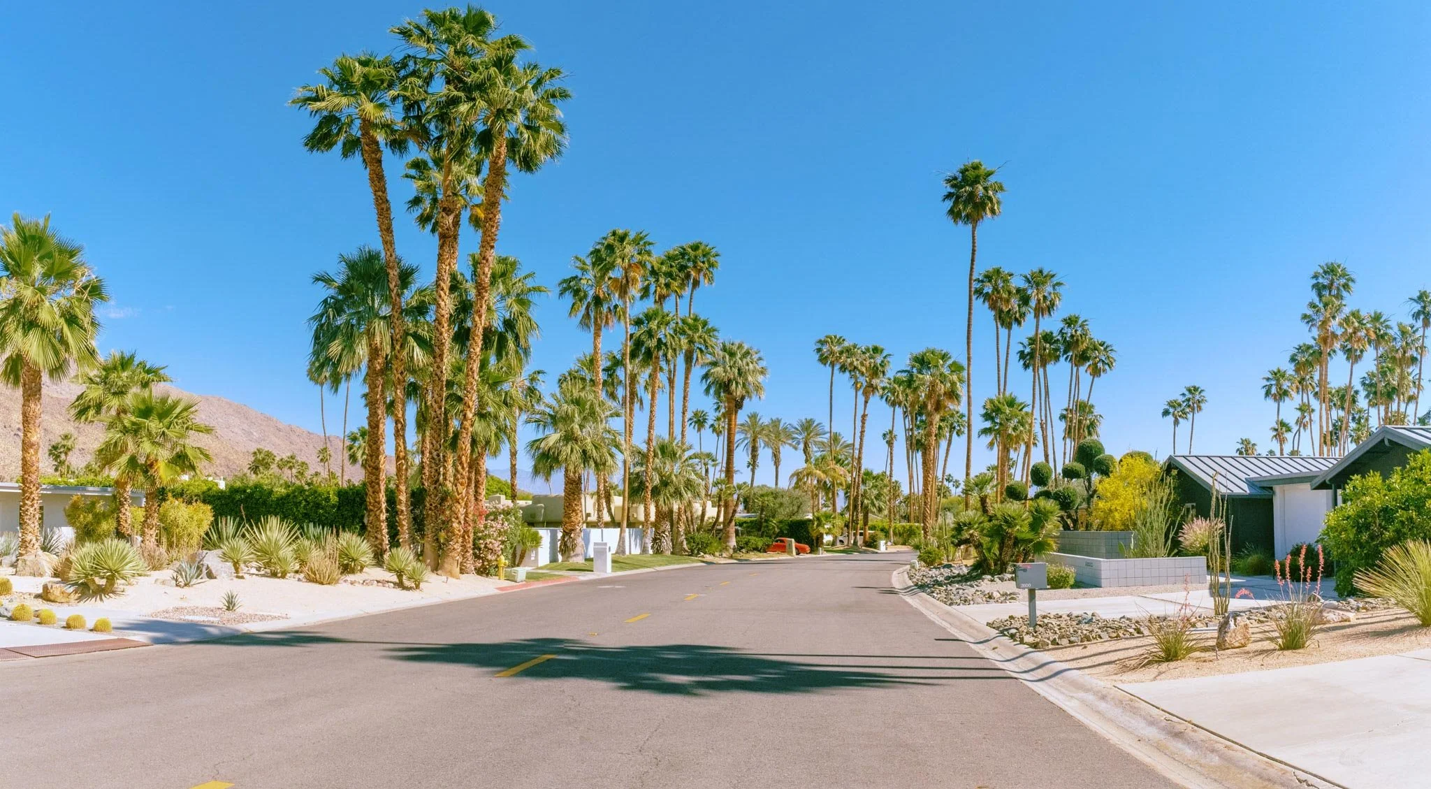PALM_SPRINGS_STREET_WIDE_PANO.jpg