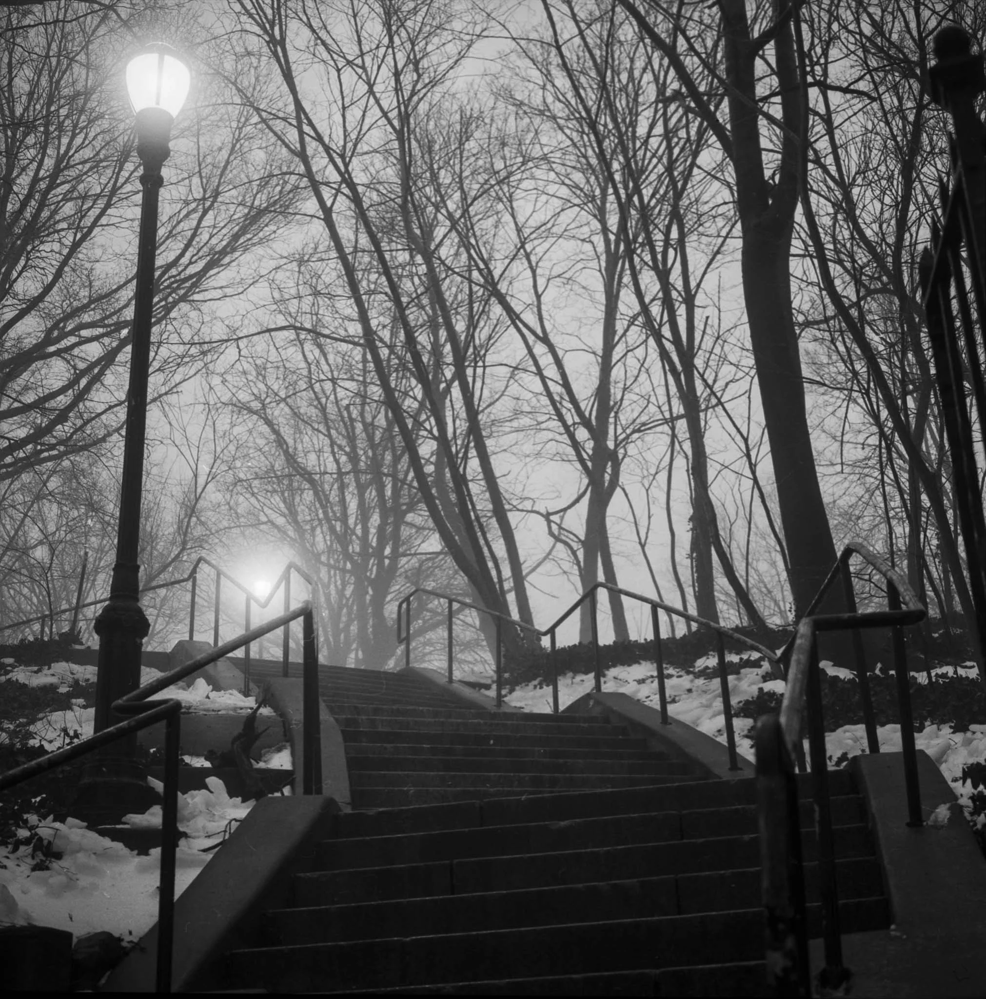 NEW_YORK_FILM_PHOTOGRAPHY_PROSPECT_PARK_AT_NIGHT_3.jpg