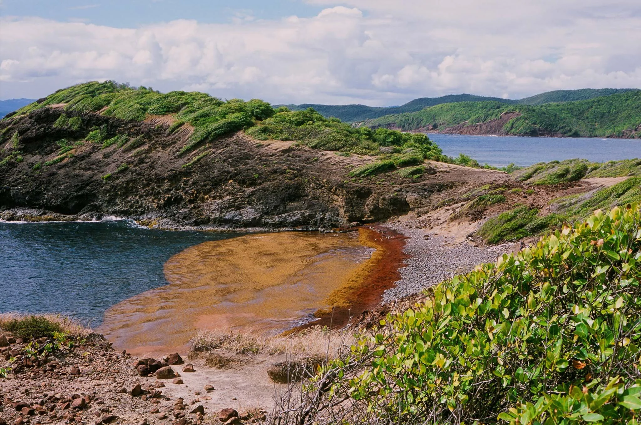 FILM_PHOTOGRAPHY_MARTINIQUE_COASTAL_COLORS_EKTAR.jpg