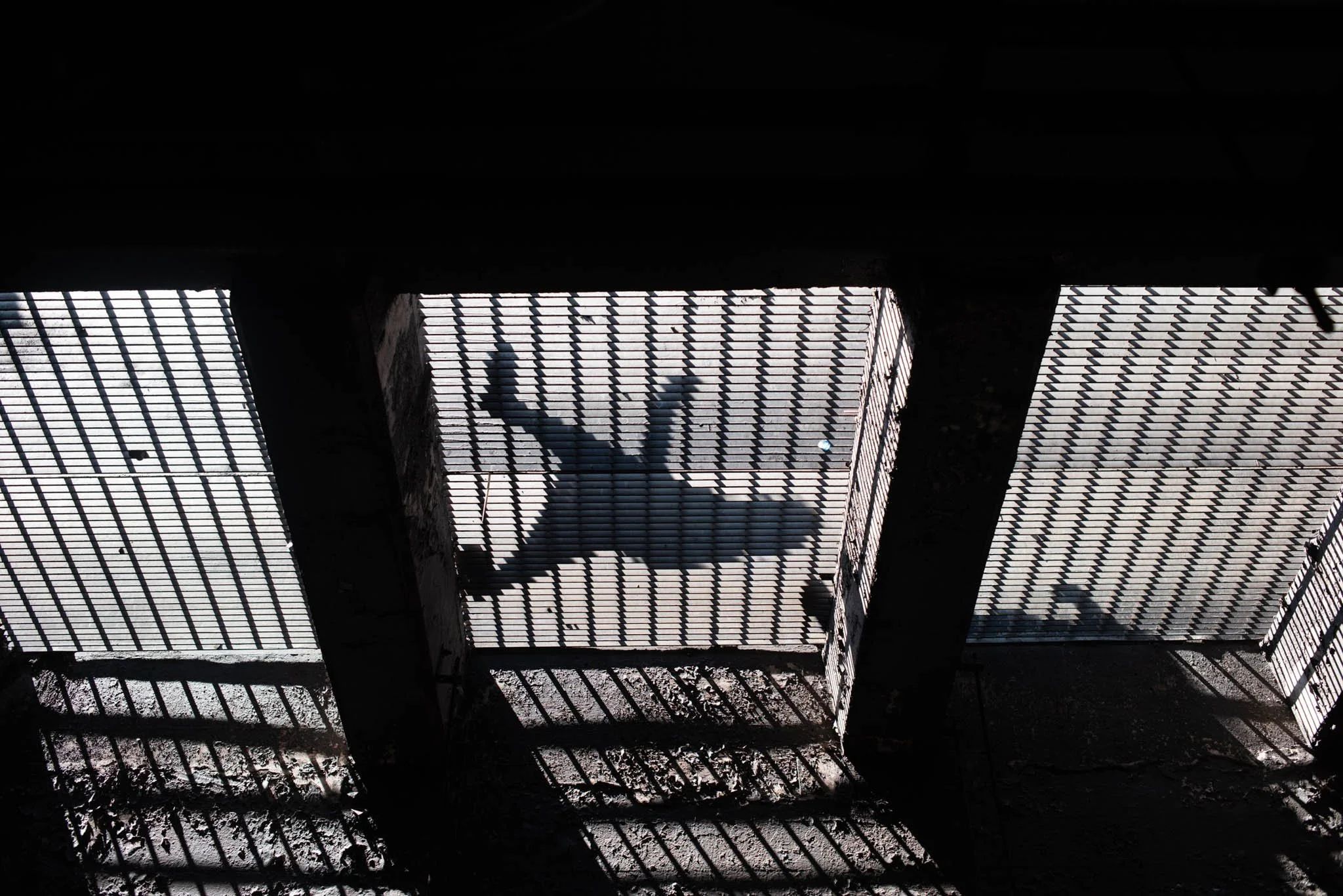 NEW_YORK_DIGITAL_STREET_PHOTOGRAPHY_SHADOW_ON_GRATE.jpg