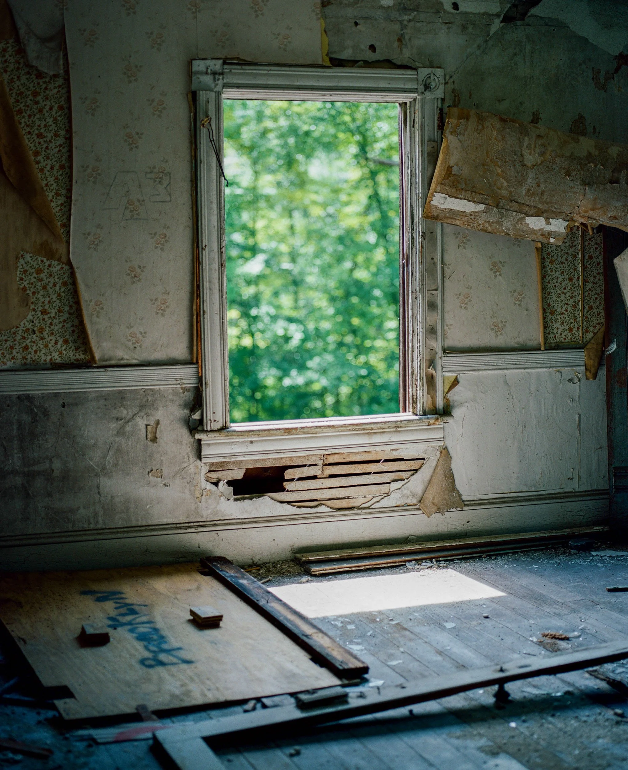 An abandoned room with a broken window and peeling wallpaper, revealing green trees outside.