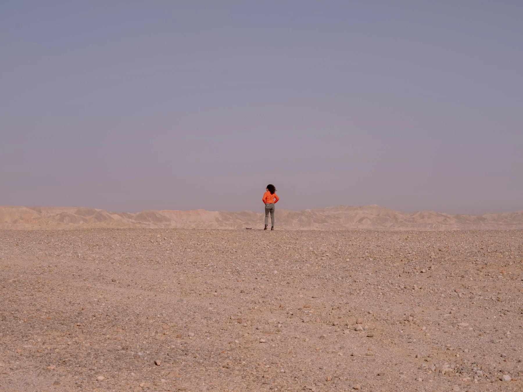 Person standing alone in a vast, barren desert landscape in California with distant mountains and a clear, pale sky.