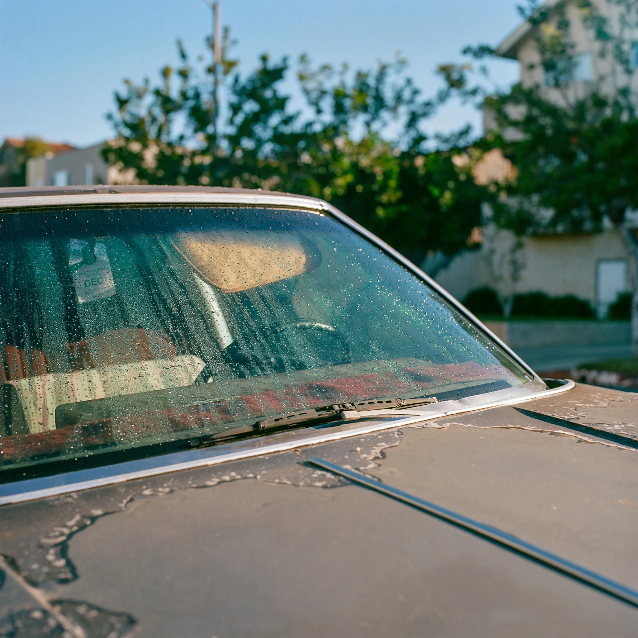 Windscreen Dew, Los Angeles