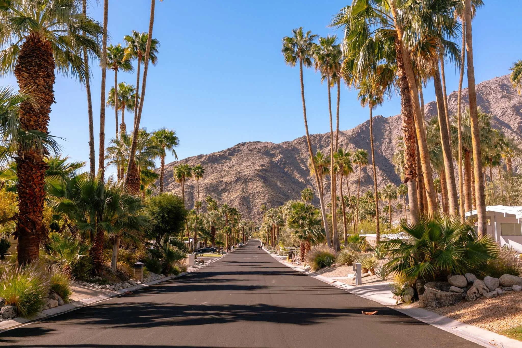 PALM_SPRINGS_STREET_PANORAMA_EDGE_OF_TOWN.jpg