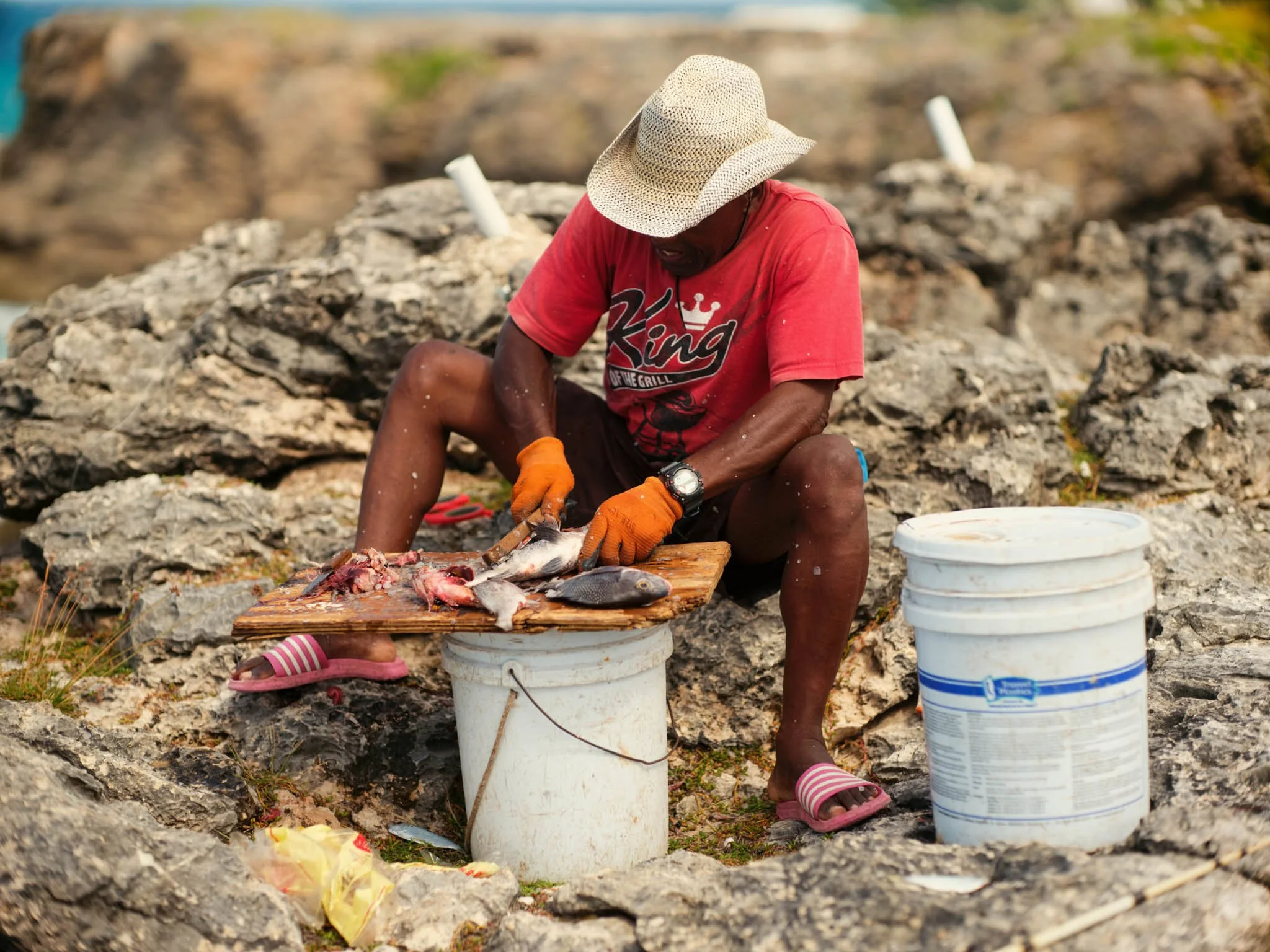 BARBADOS_WINSTON_FISH_CLEAN_DAVID_PEXTON_PHOTOGRAPHY.jpg
