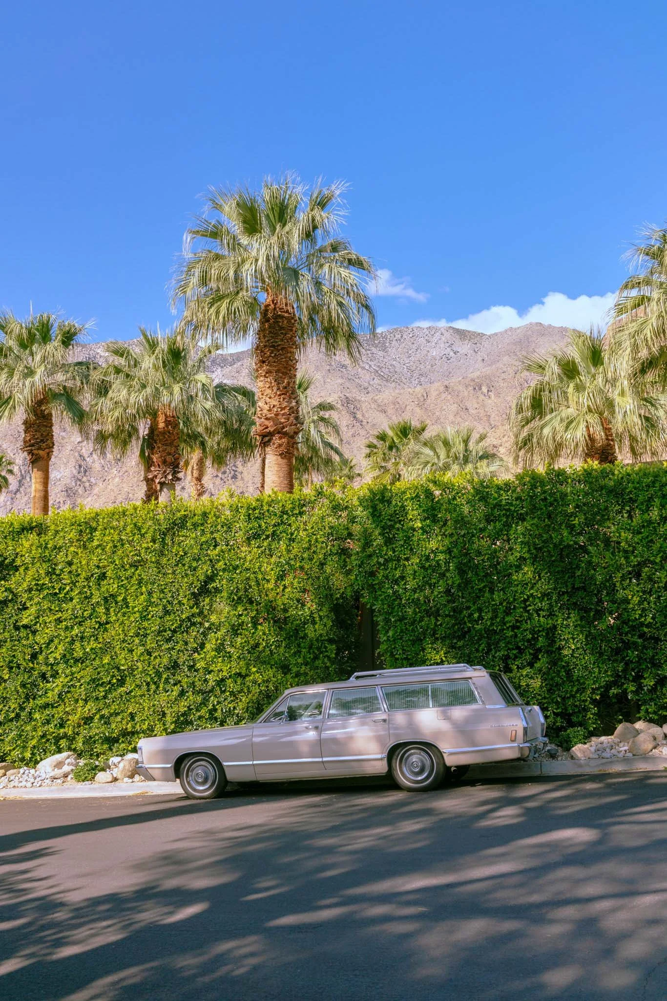 PALM_SPRINGS_PONTIAC_CATALINA_SAFARI.jpg