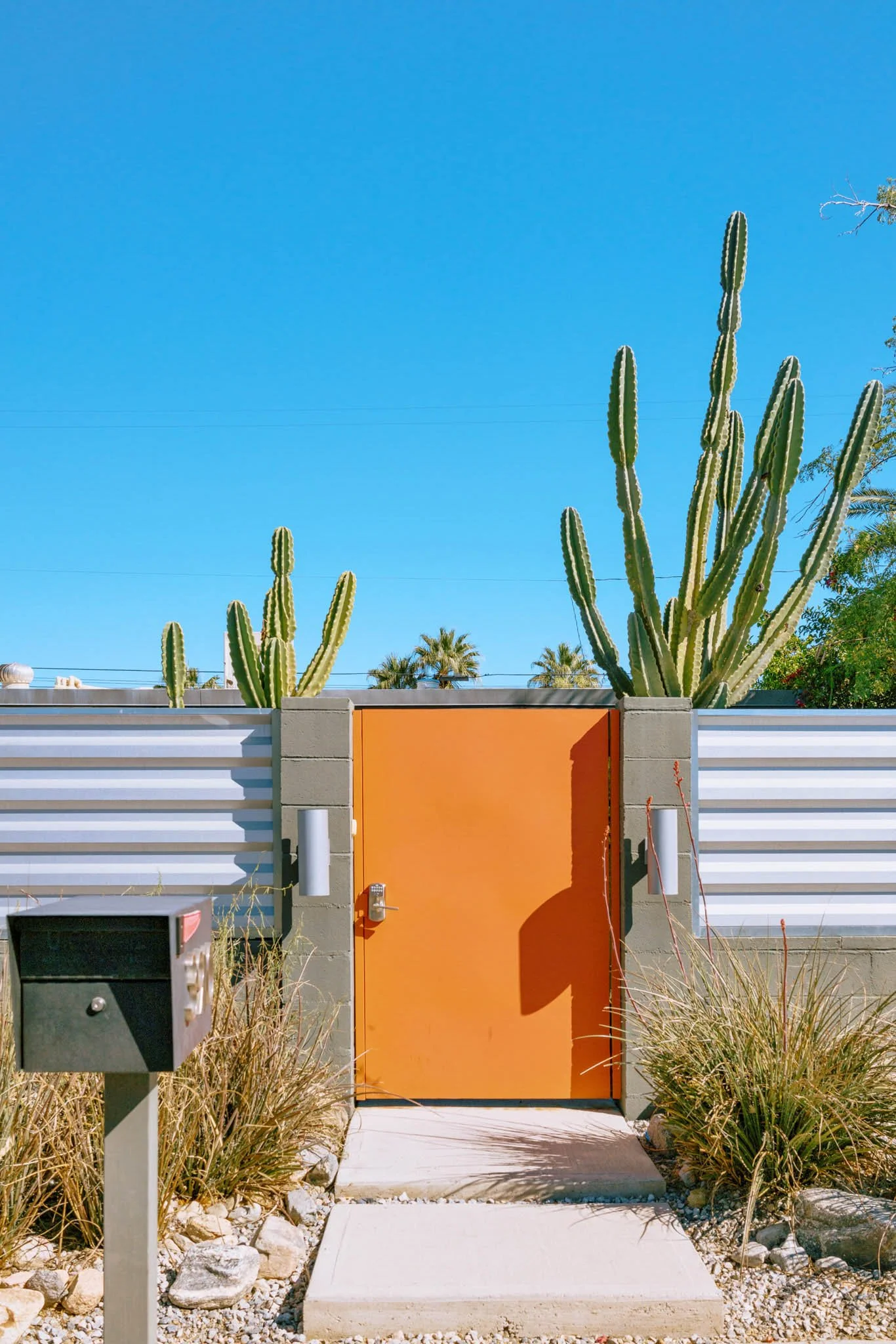 PALM_SPRINGS_ORANGE_GATE_CACTUS.jpg