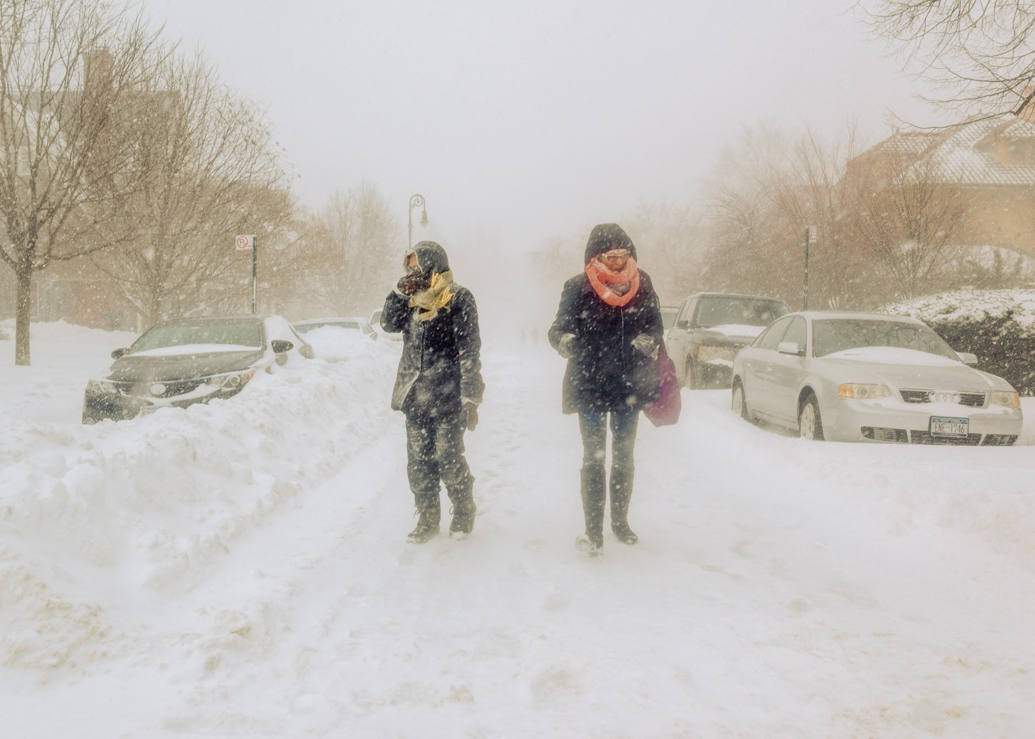 DIGITAL_STREET_PHOTOGRAPHY_NYC_BLIZZARD_DITMAS_PARK.jpg