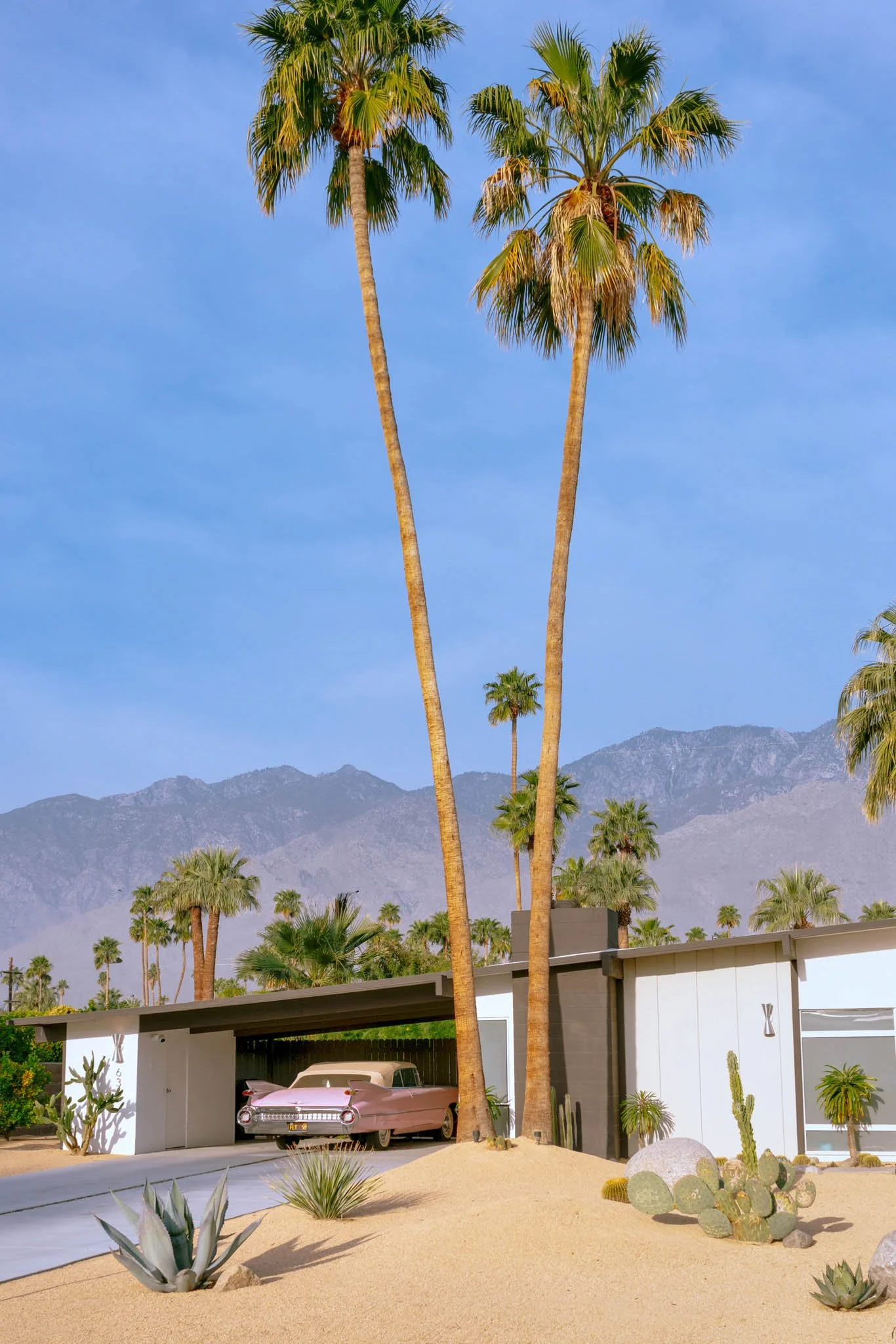 PALM_SPRINGS_PINK_CADILLAC_VERTICAL.jpg