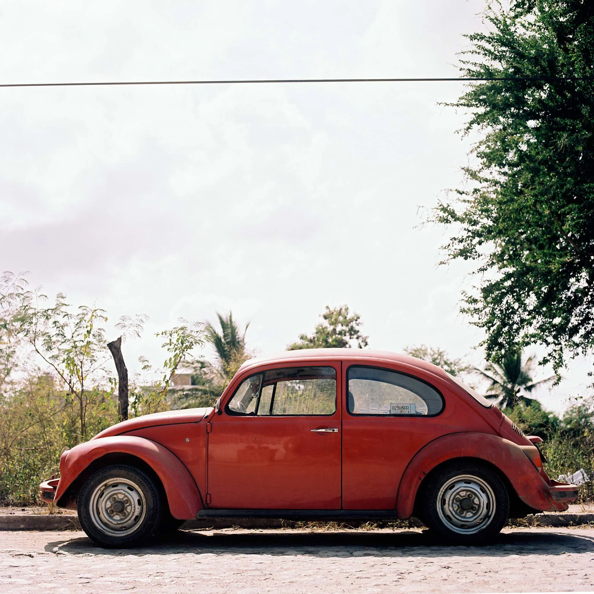 FILM_PHOTOGRAPHY_MEXICO_RED_BEETLE.jpg