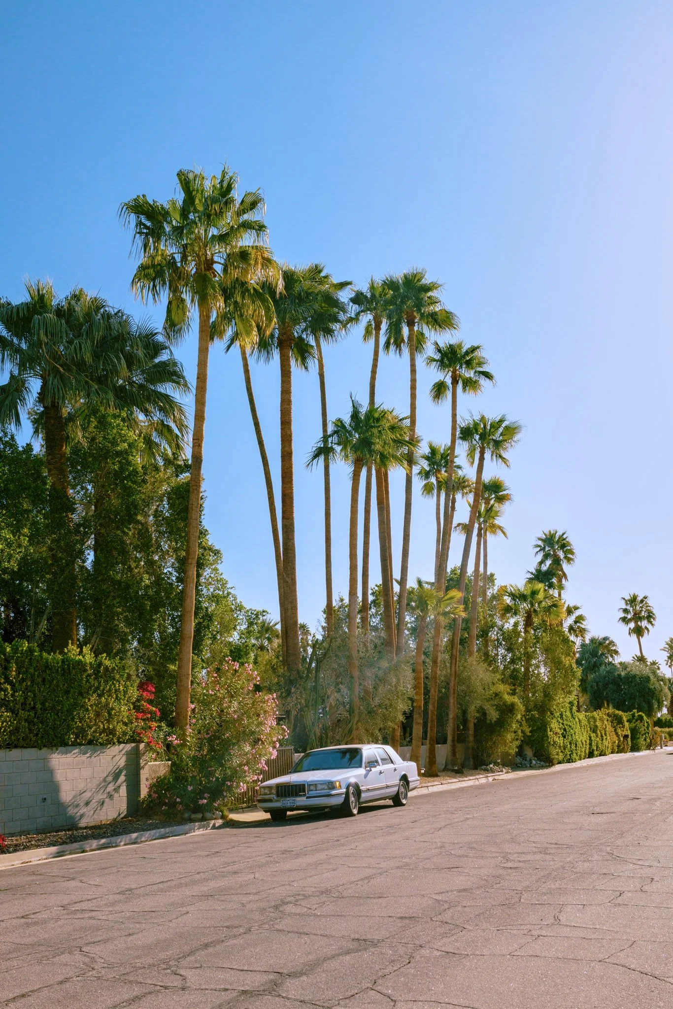 PALM_SPRINGS_LONESOME_CAR.jpg