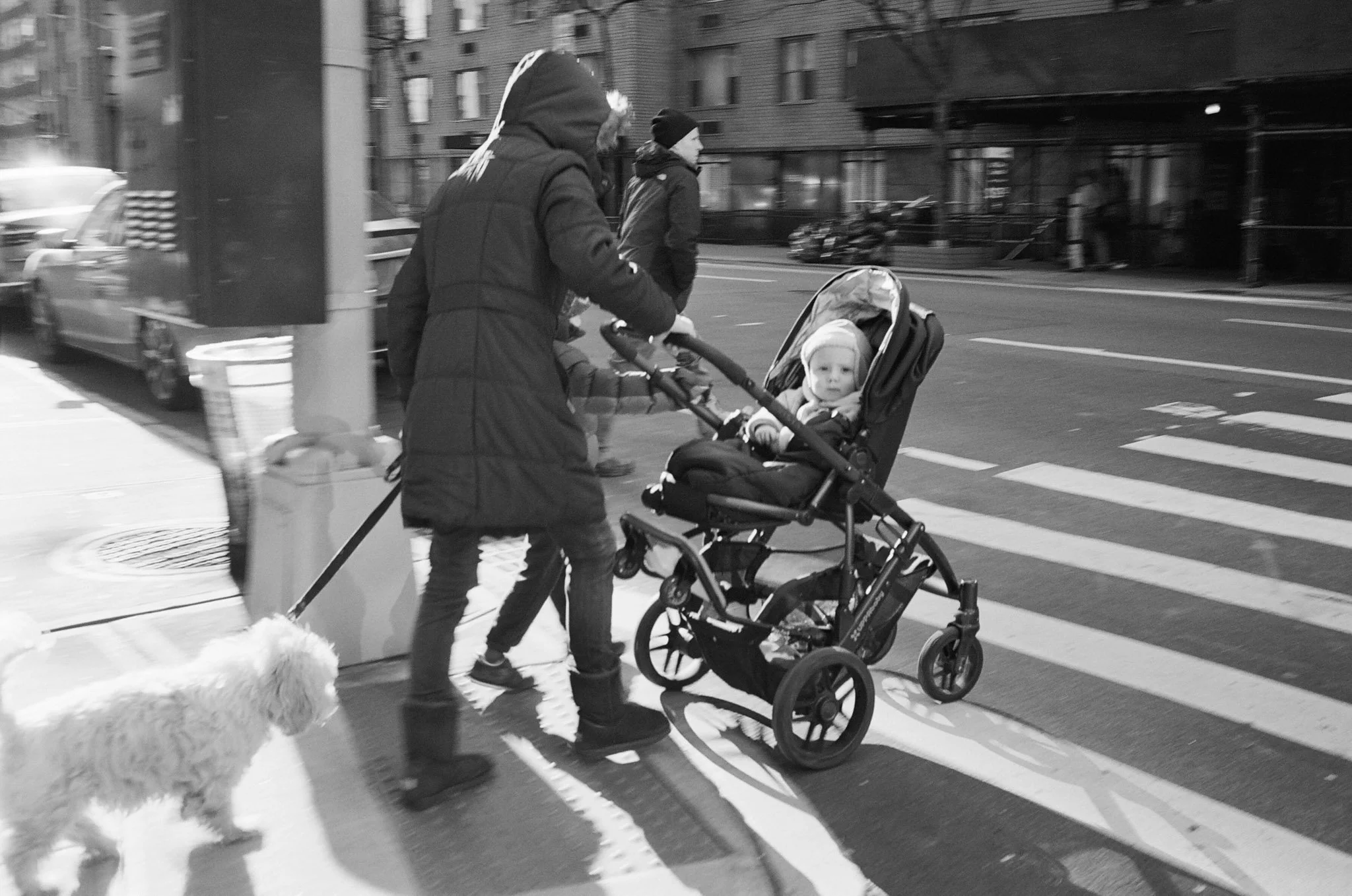 NEW_YORK_FILM_PHOTOGRAPHY_BABY_STARE.jpg