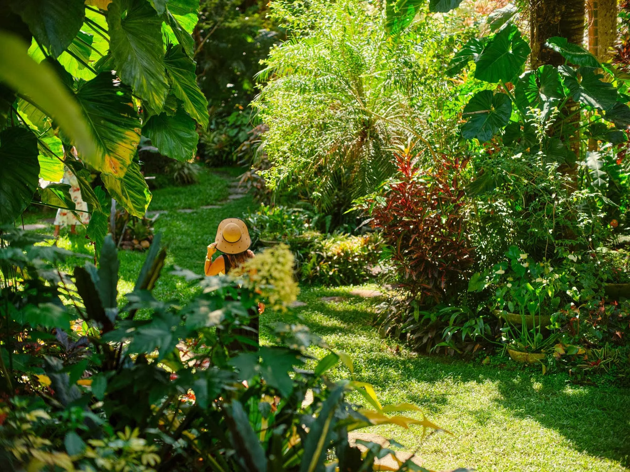BARBADOS_BOTANIC_GARDEN_DAVID_PEXTON_PHOTOGRAPHY.jpg