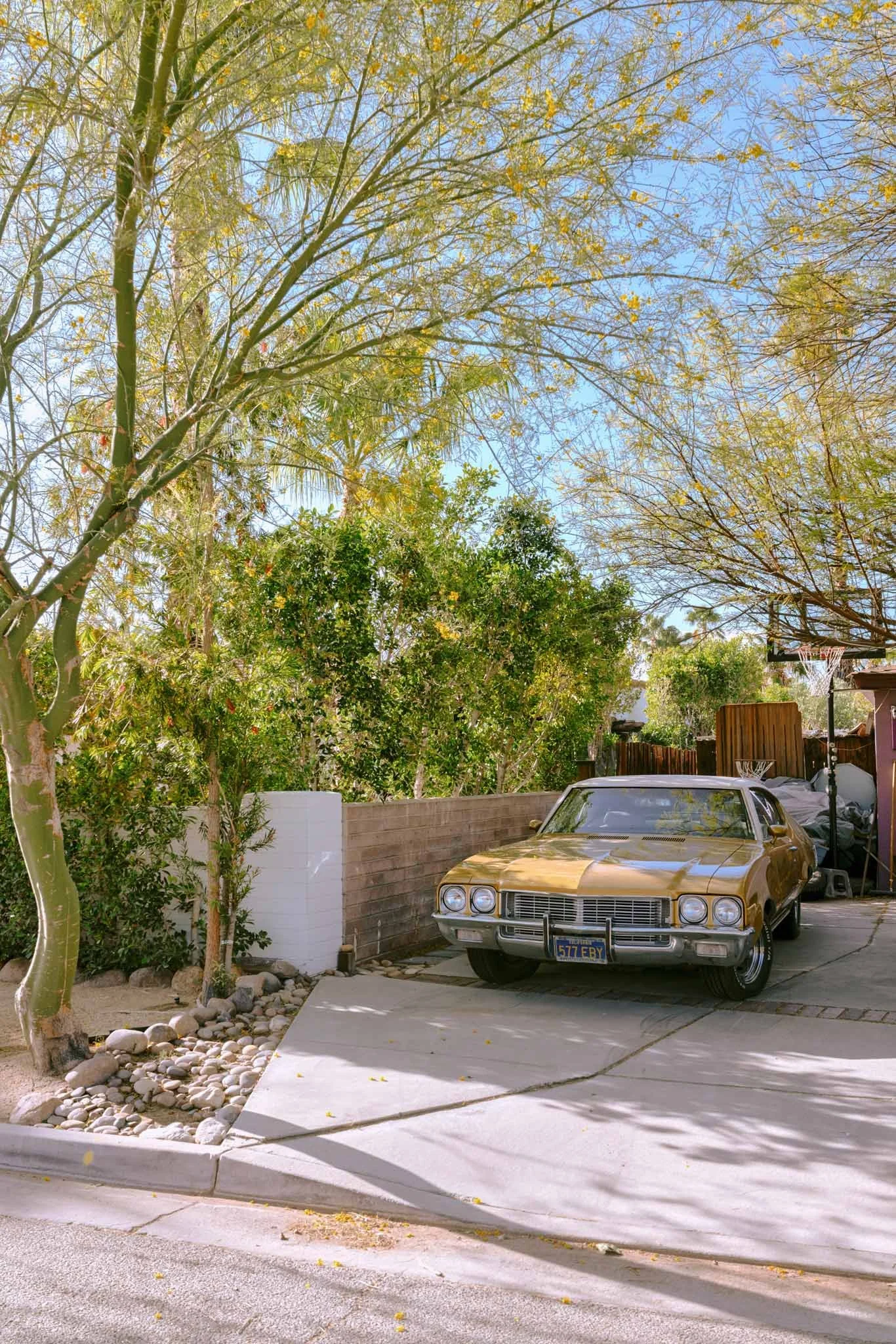 PALM_SPRINGS_BUICK_SKYLARK.jpg