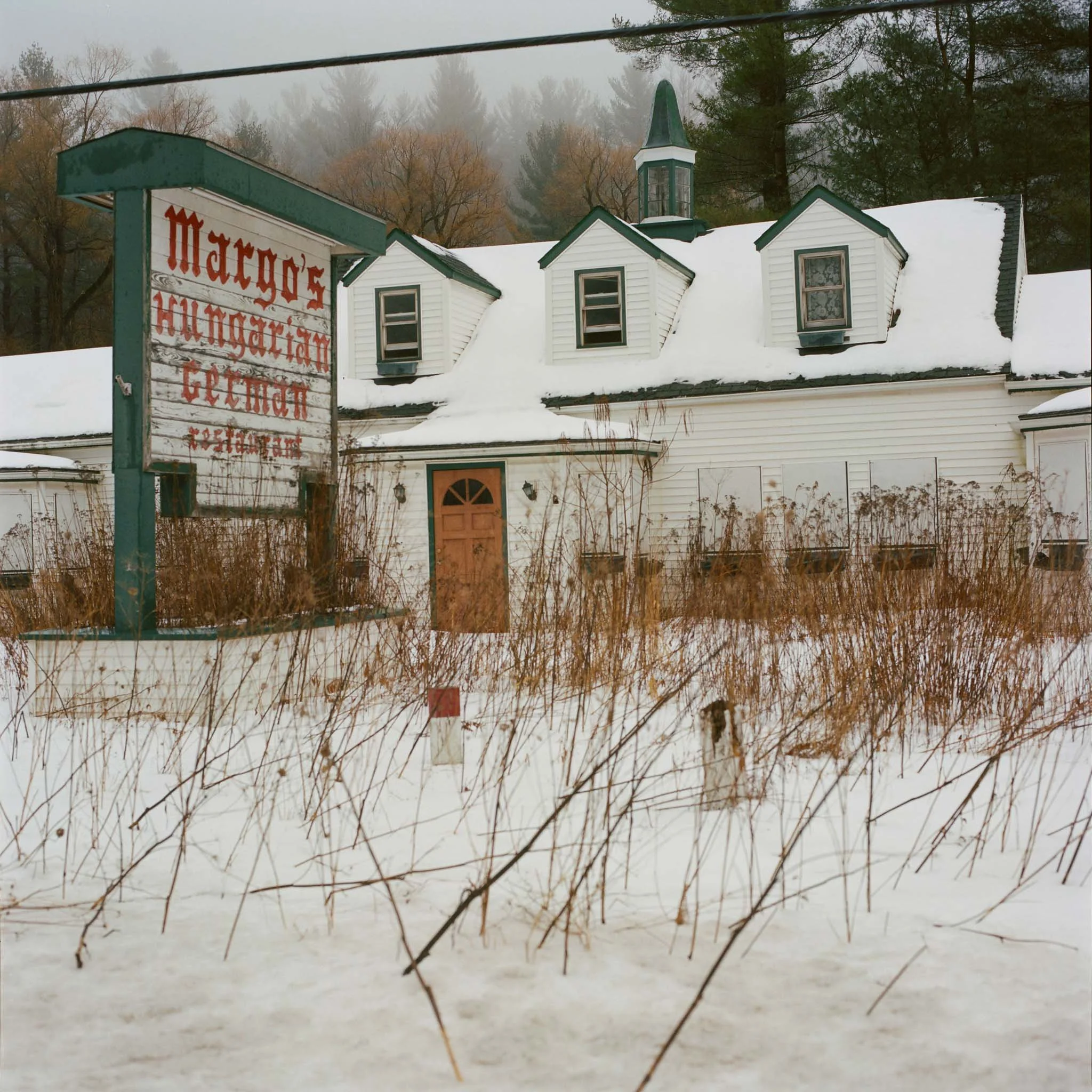 FILM_PHOTOGRAPHY_LANDSCAPE_UPSTATE_HUNGARIAN _RESTAURANT.jpg