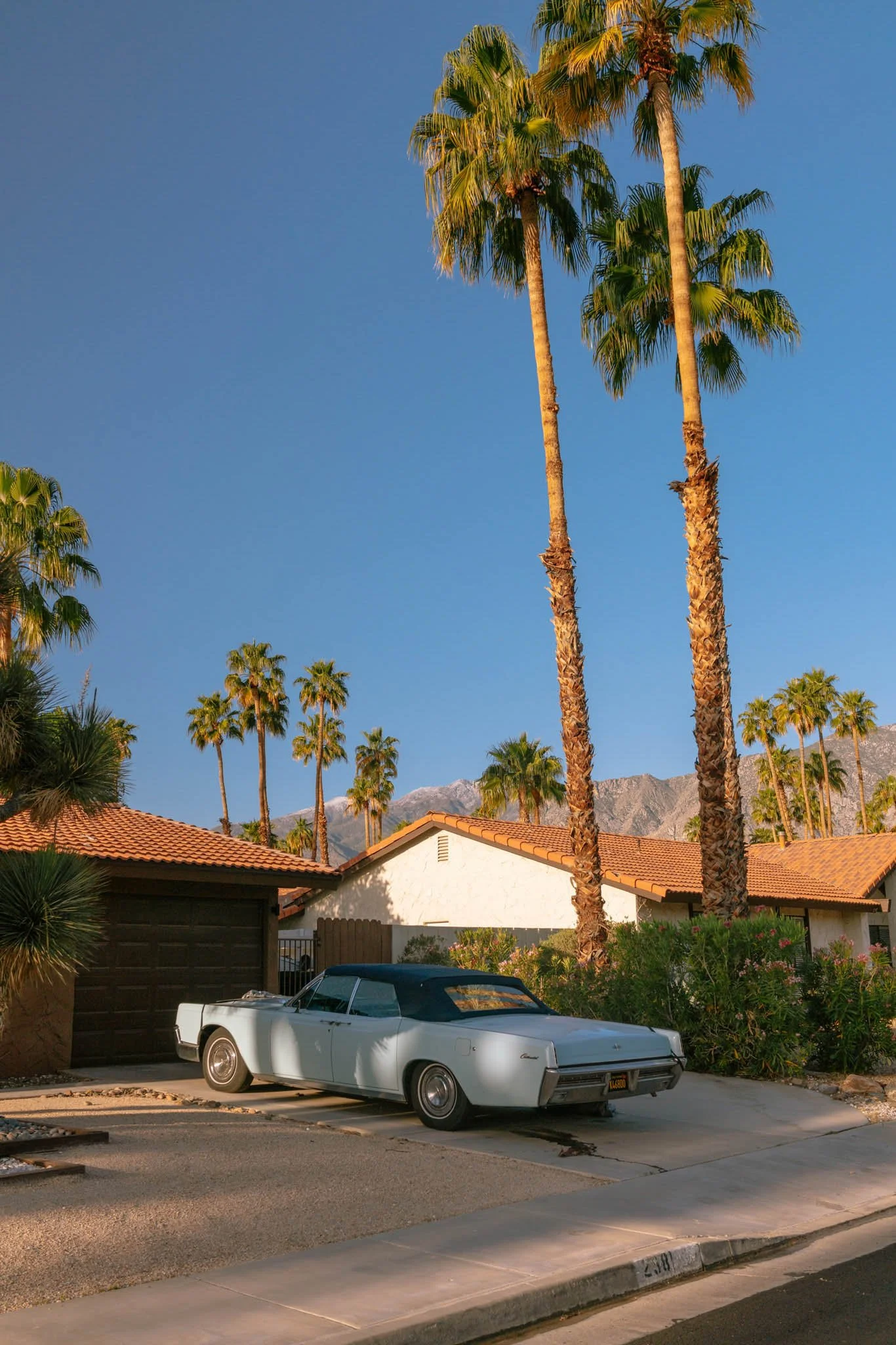 PALM_SPRINGS_STREET_LANDSCAPE_PHOTOFGRAPHY_8.jpg