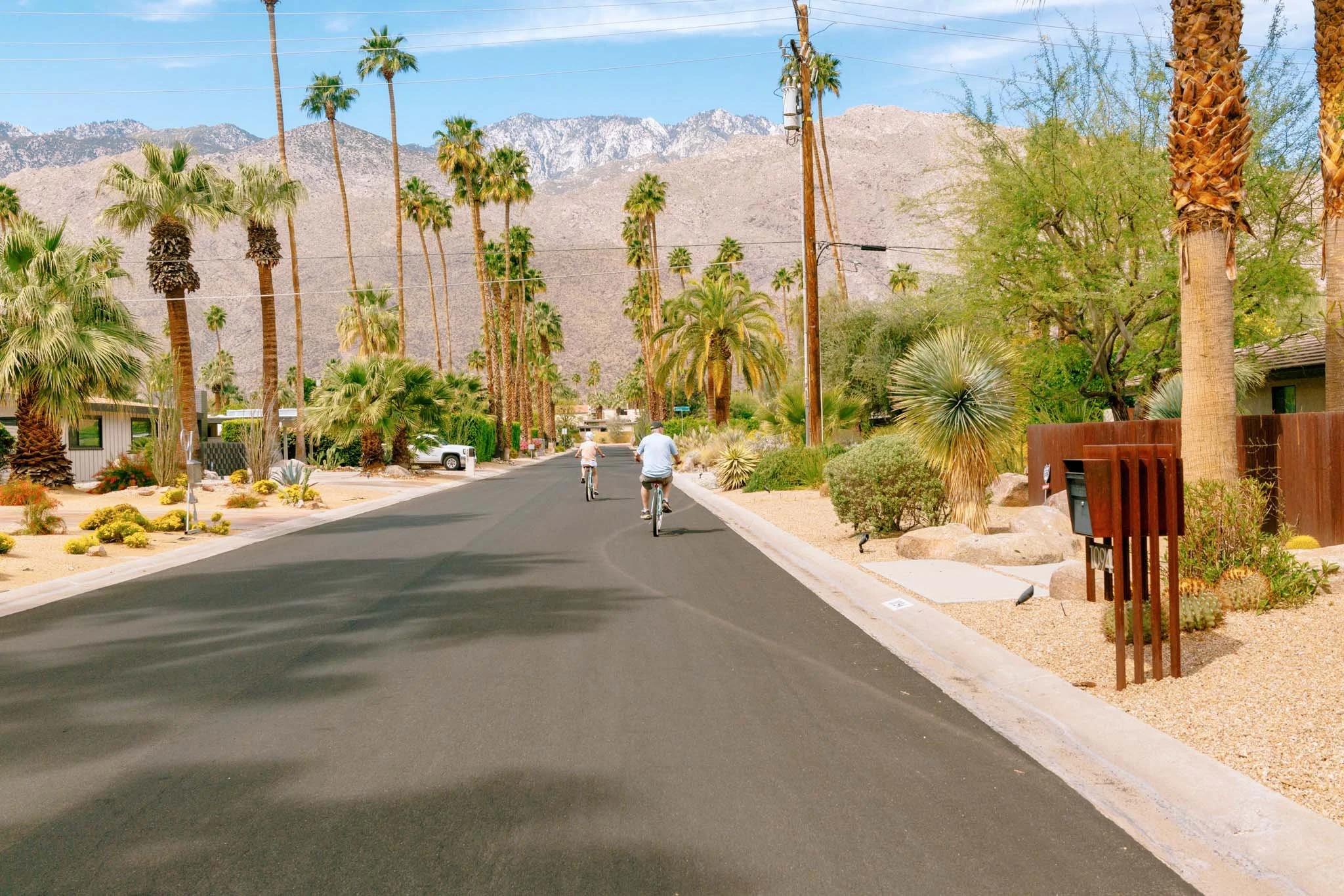 PALM_SPRINGS_COUPLE_BIKES_SIGHT_SEEING.jpg