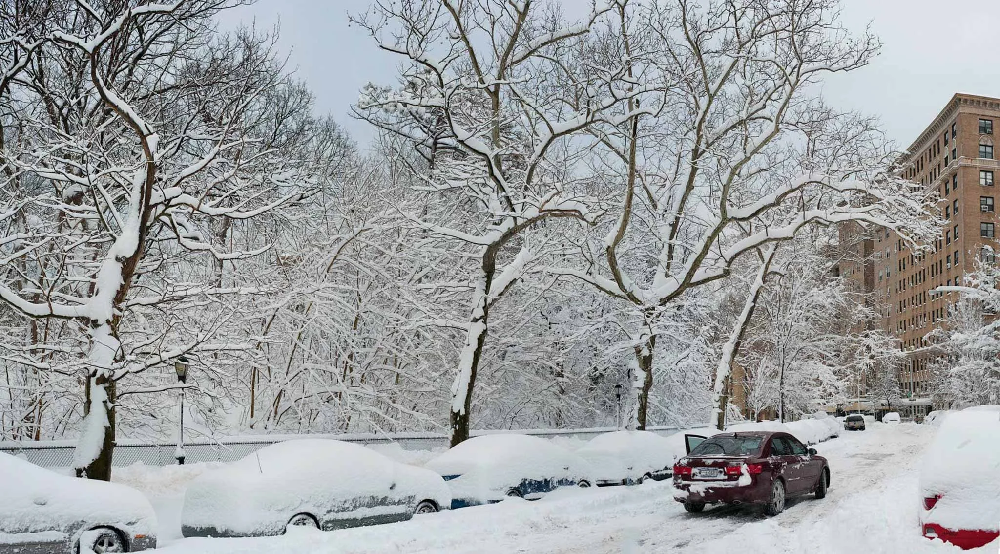 NEW_YORK_DIGITAL_STREET_PHOTOGRAPHY_PROSPECT_PARK_SNOW_PANO.jpg