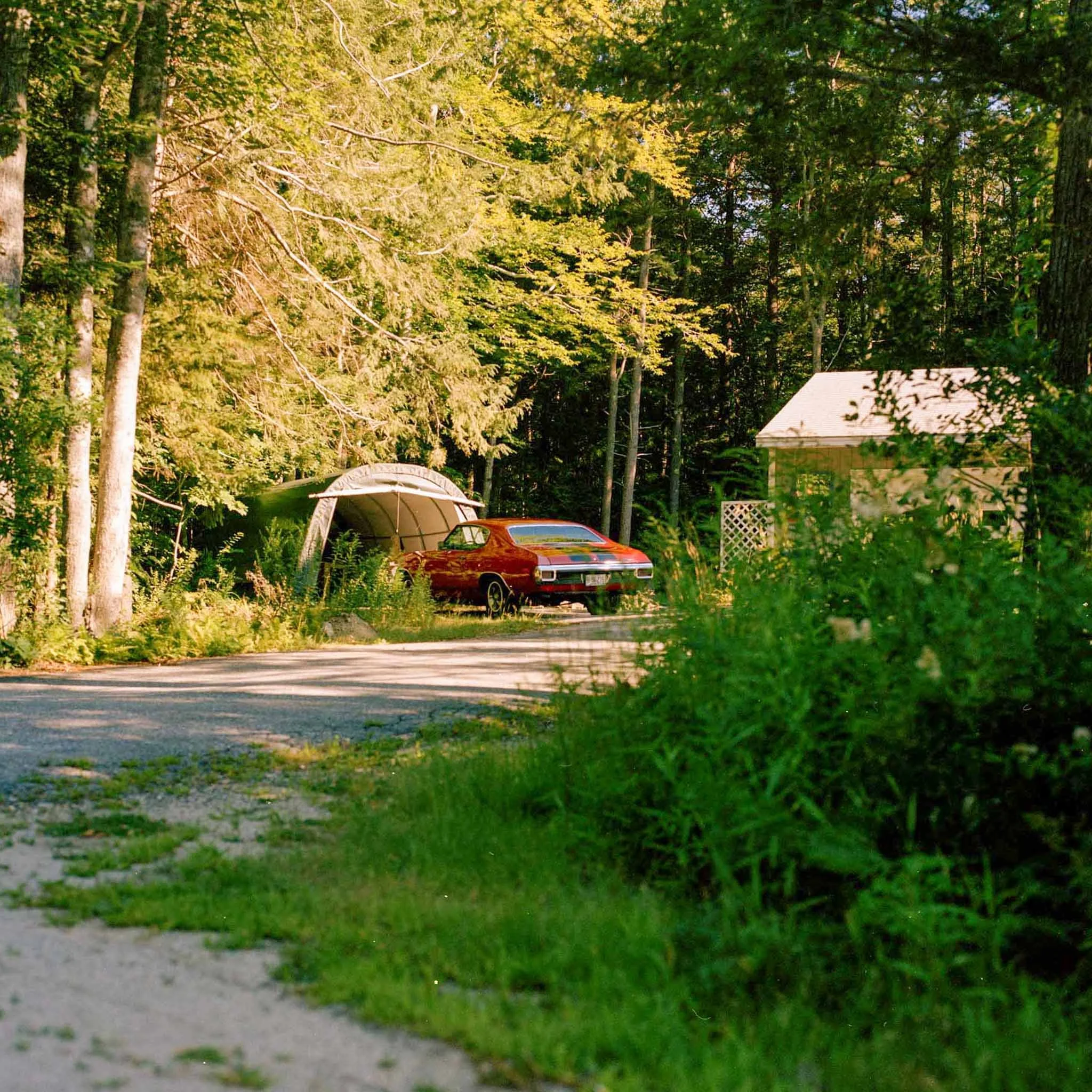 FILM_PHOTOGRAPHY_VINTAGE_CHEVVY_CHEVILLE_FRONT_YARD.jpg