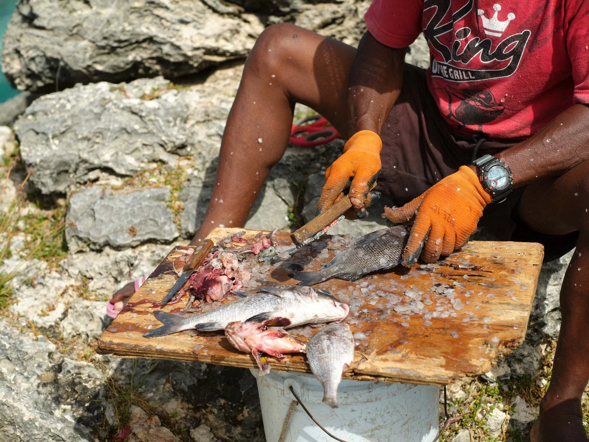 BARBADOS_WINSTON_FISH_SCALING_CLOSE_UP_DAVID_PEXTON_PHOTOGRAPHY.jpg