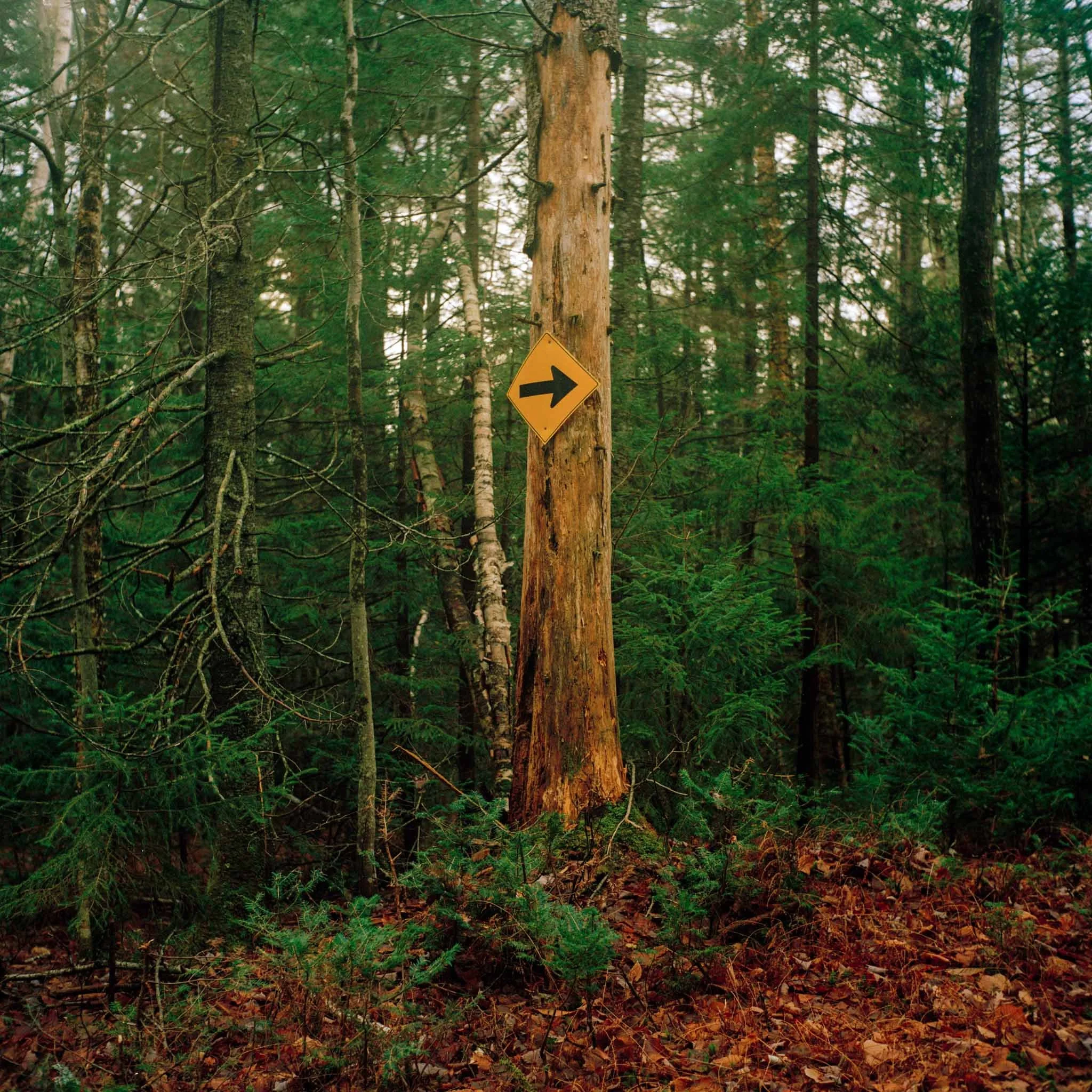 Christmas 2015 - Upstate Shots7.jpg