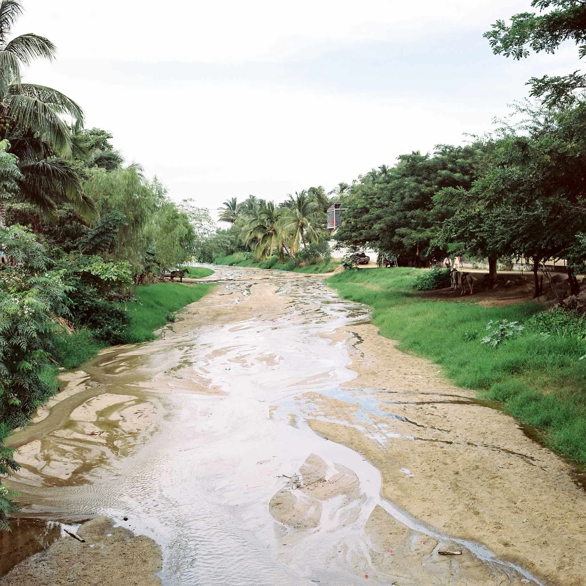 FILM_PHOTOGRAPHY_MEXICO_RIVER_BED.jpg