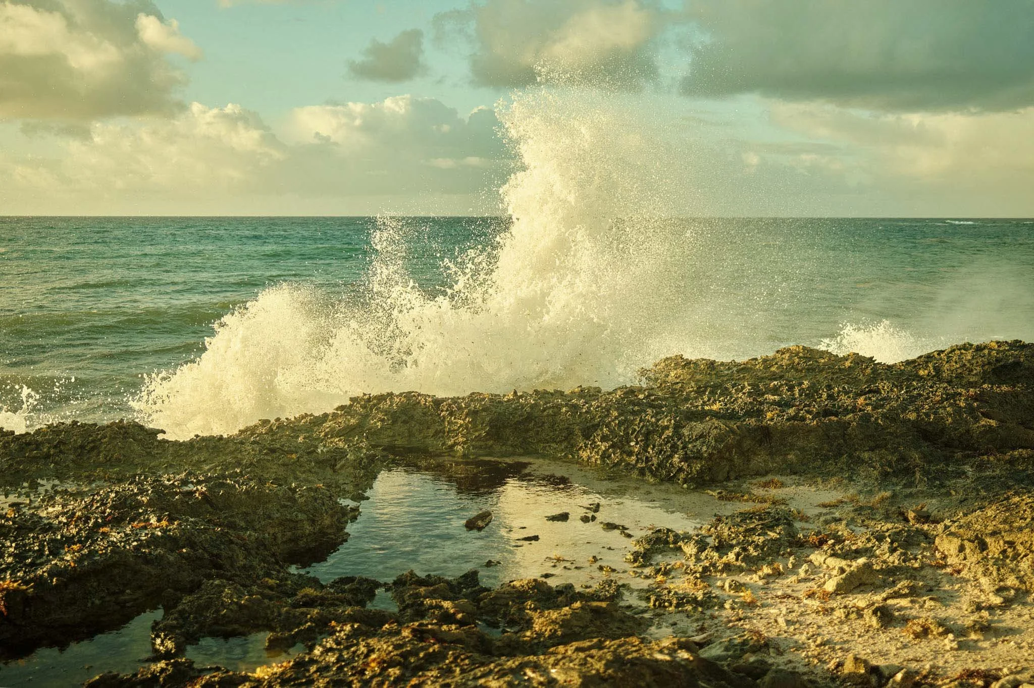 BARBADOS_MORNING_WAVES_DAVID_PEXTON_PHOTOGRAPHY.jpg