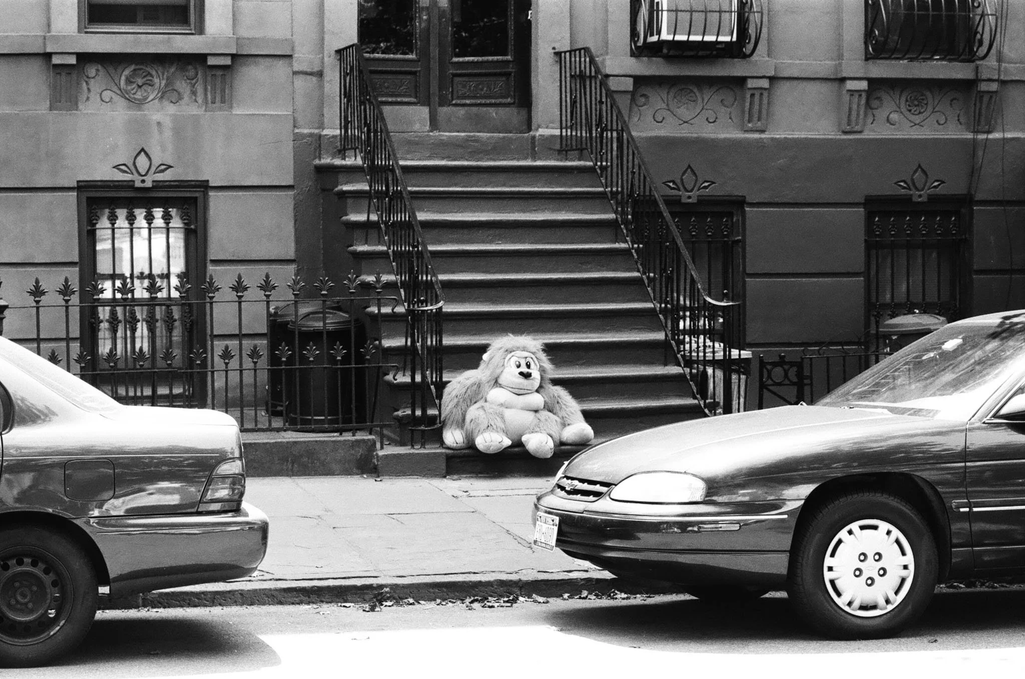 NEW_YORK_FILM_PHOTOGRAPHY_MONKEY_ON_STEP.jpg