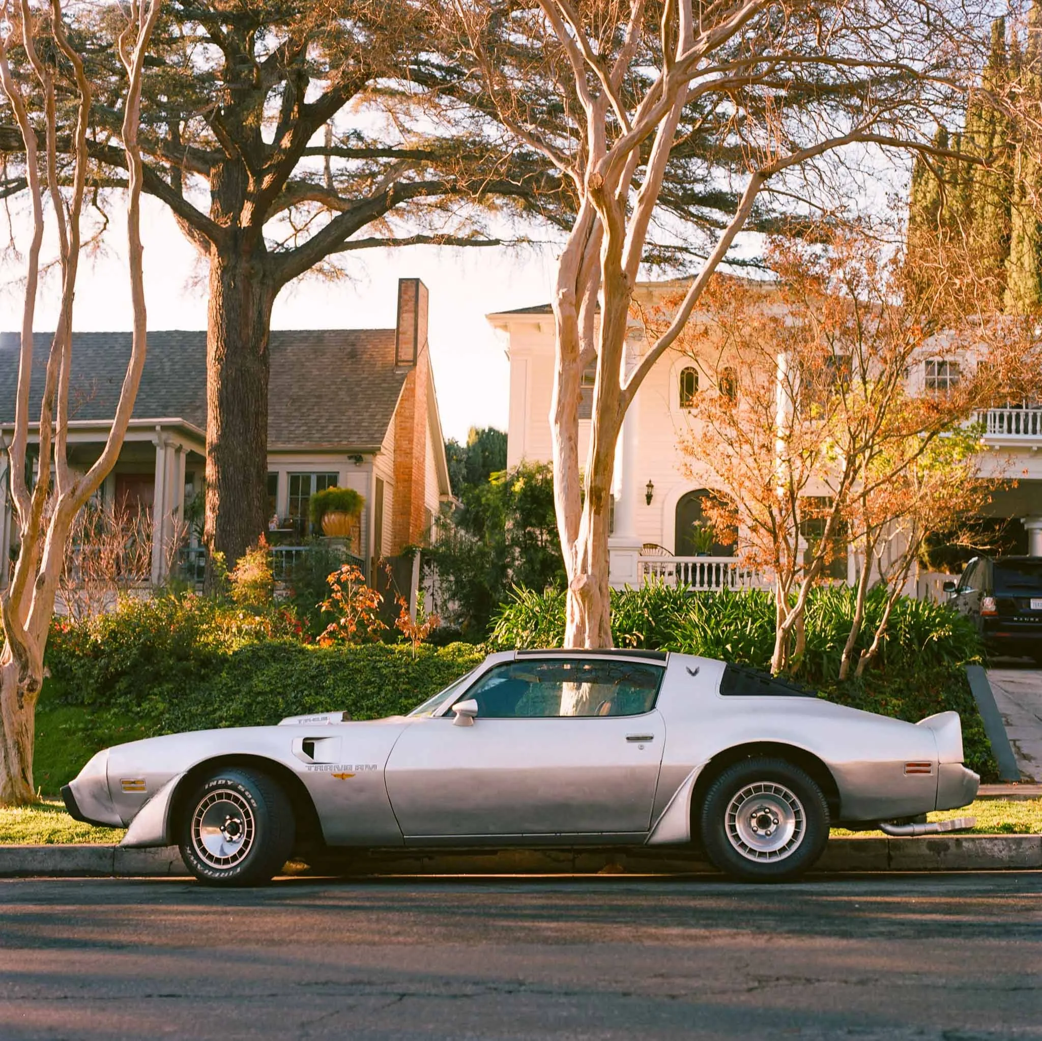 FILM_PHOTOGRAPHY_VINTAGE_TRANSAM_LOS_ANGELES_MORNING.jpg