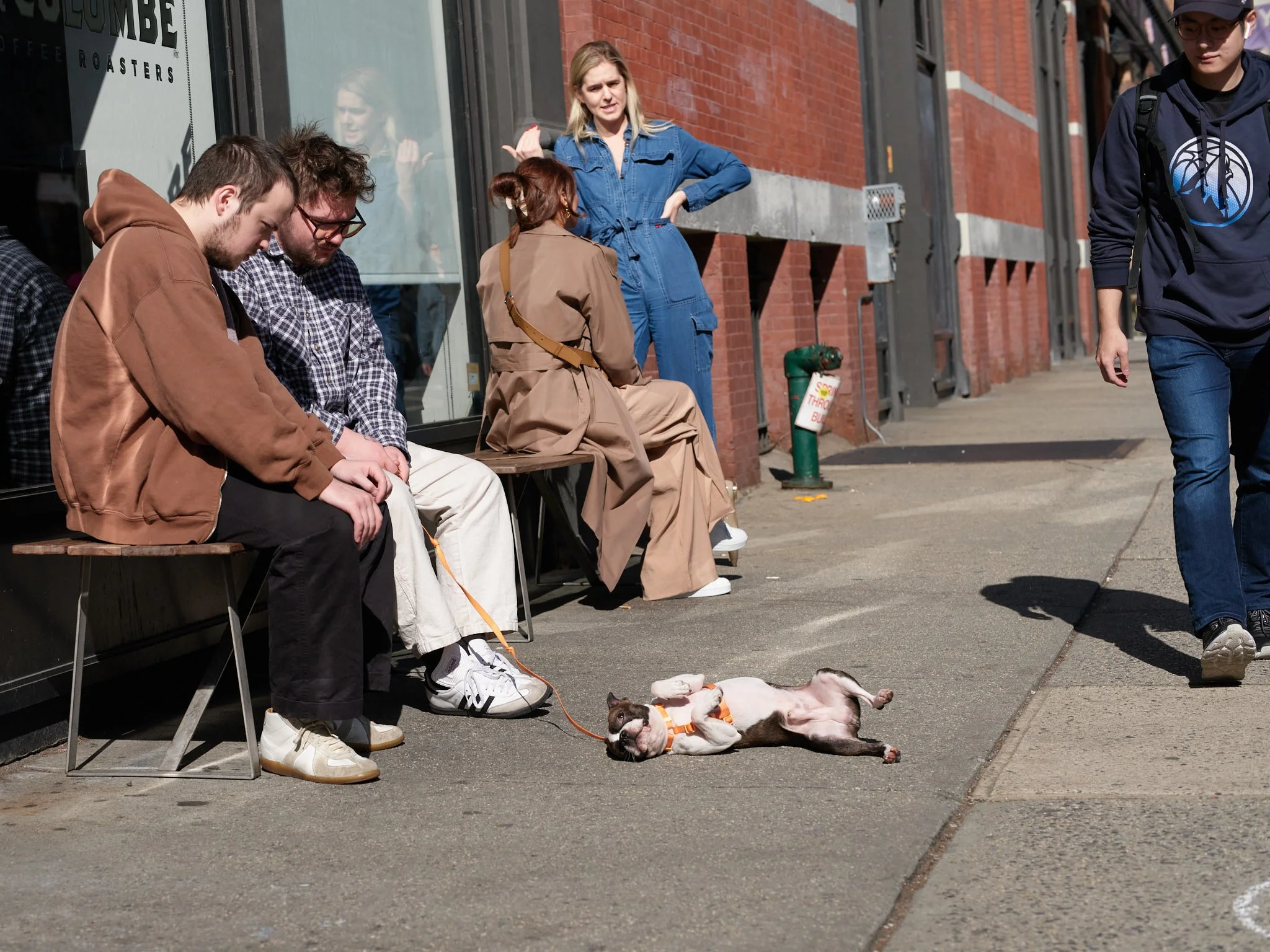 DIGITAL_STREET_PHOTOGRAPHY_SCRATCHING_DOG_SIDEWALK.jpg