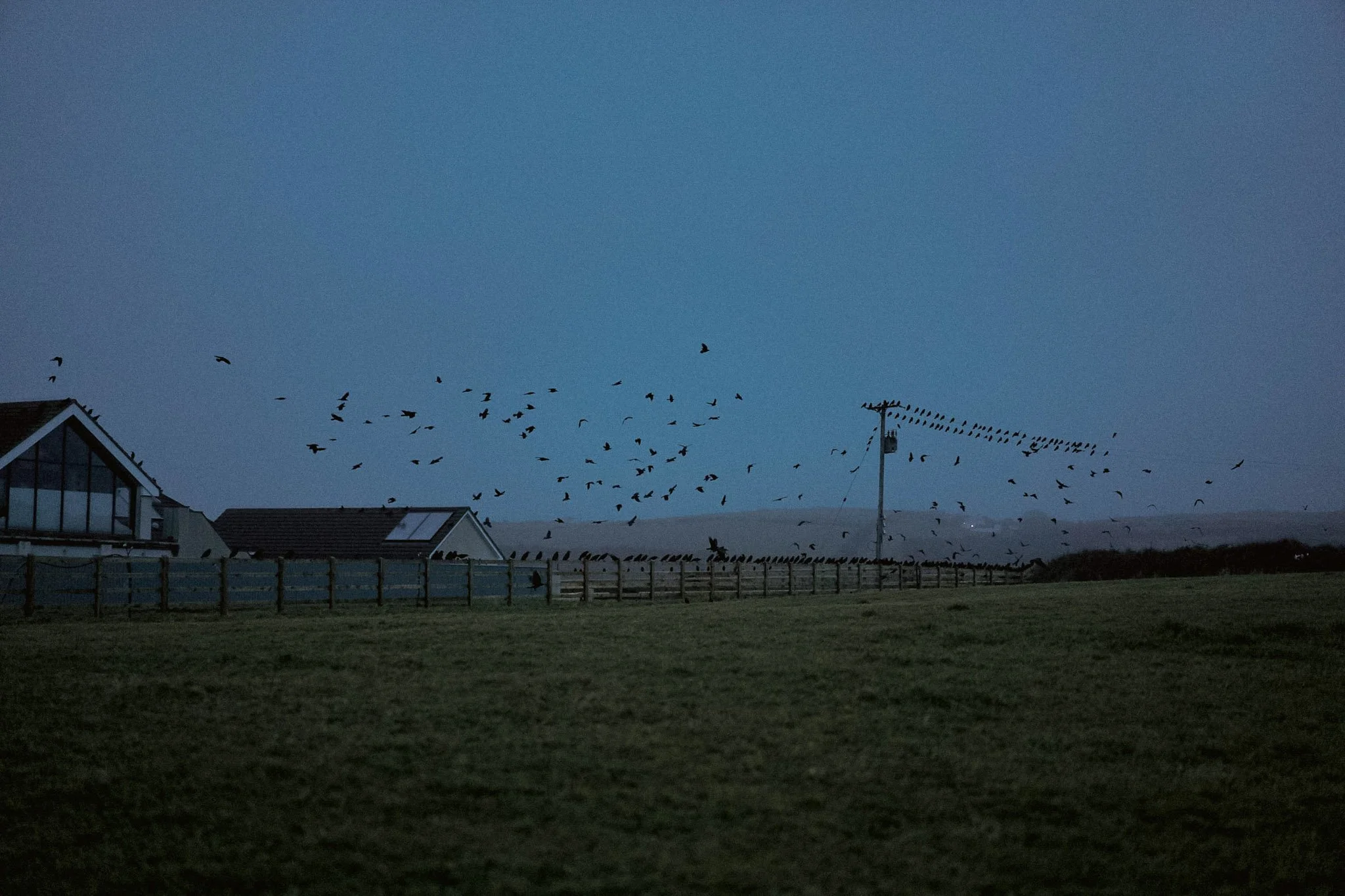 ENGLAND_DIGITAL_LANDASCAPE_WALES_CROWS.jpg