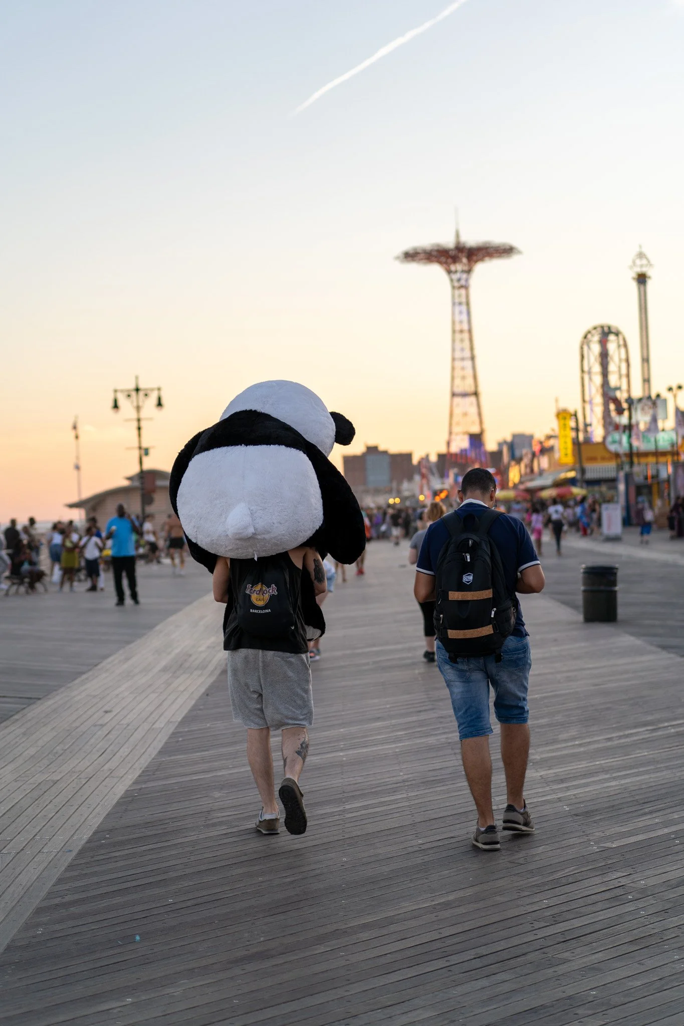 DIGITAL_PHOTOGRAPHY_PANDA_PIGGYBACK.jpg