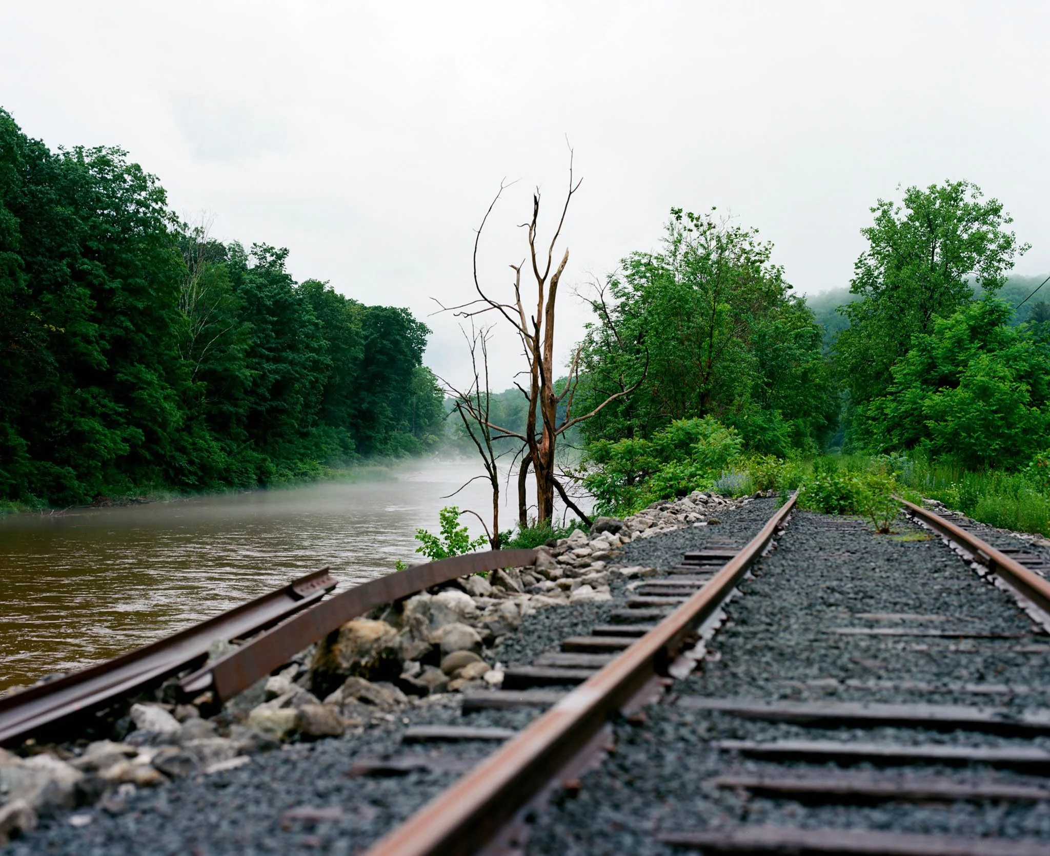 FILM_PHOTOGRAPHY_LANDSCAPE_CATSKILLS_PHOENCIA_TRAIN_TRACK.jpg