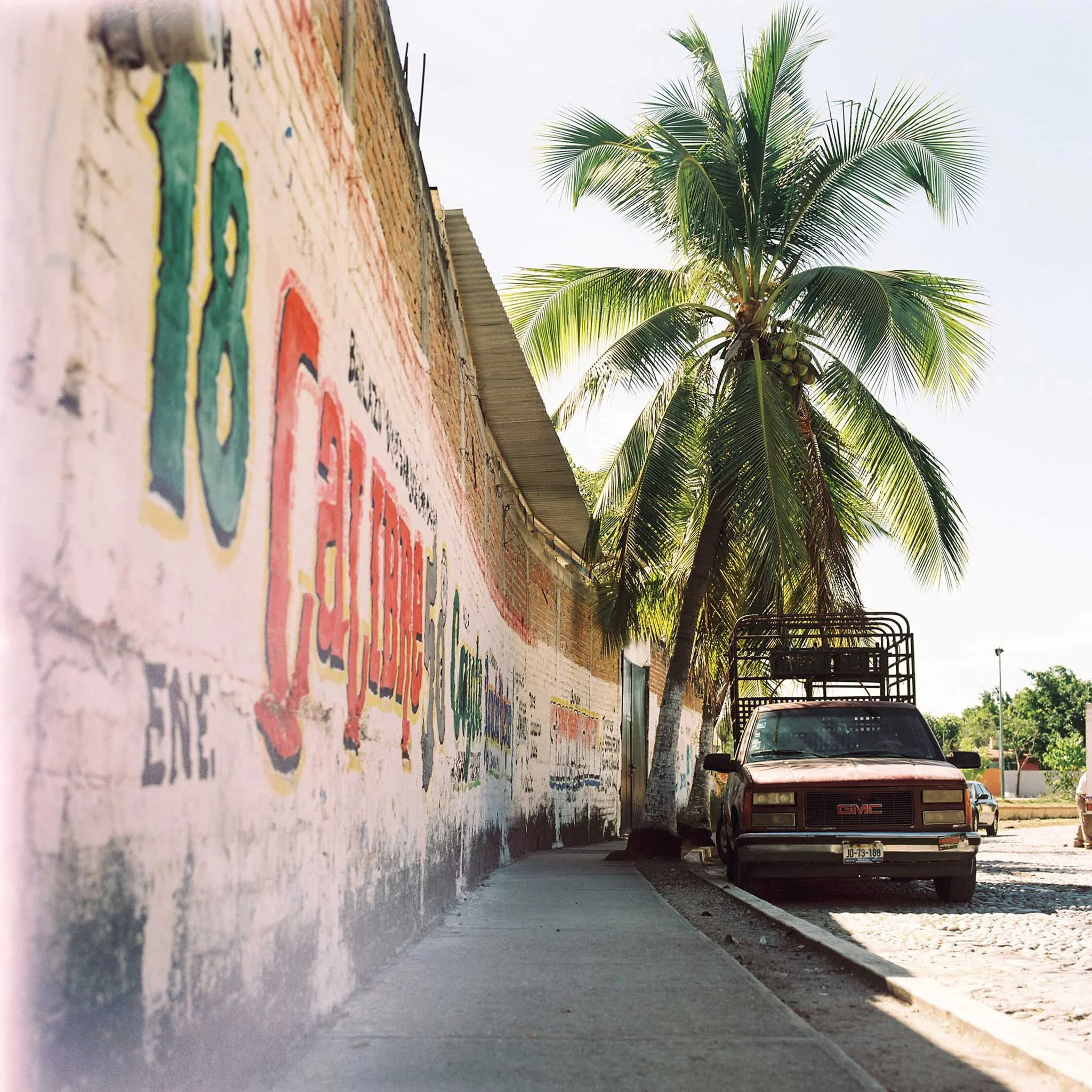 FILM_PHOTOGRAPHY_MEXICO_SIDEWALK_PALM_TREE.jpg